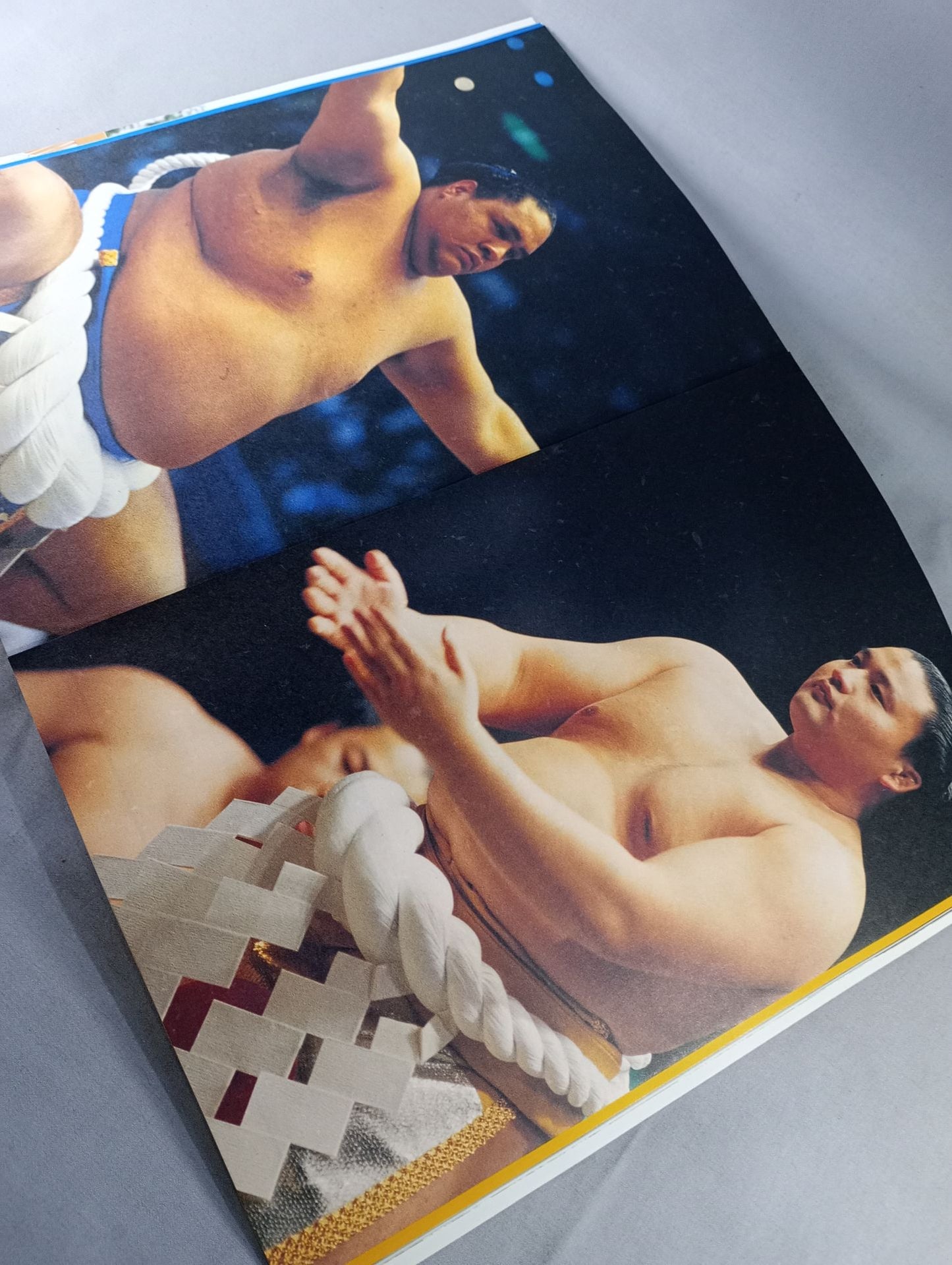 Heisei 7 Sumo Elimination Championship Tournament Osaka Tournament