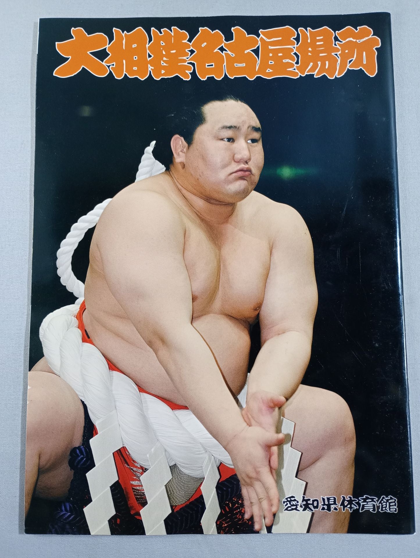 大相撲名古屋場所(2005年)