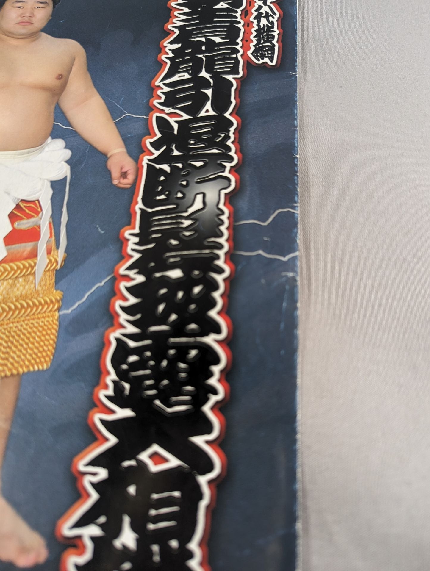 Asashoryu retirement, haircut, show sumo list of matches