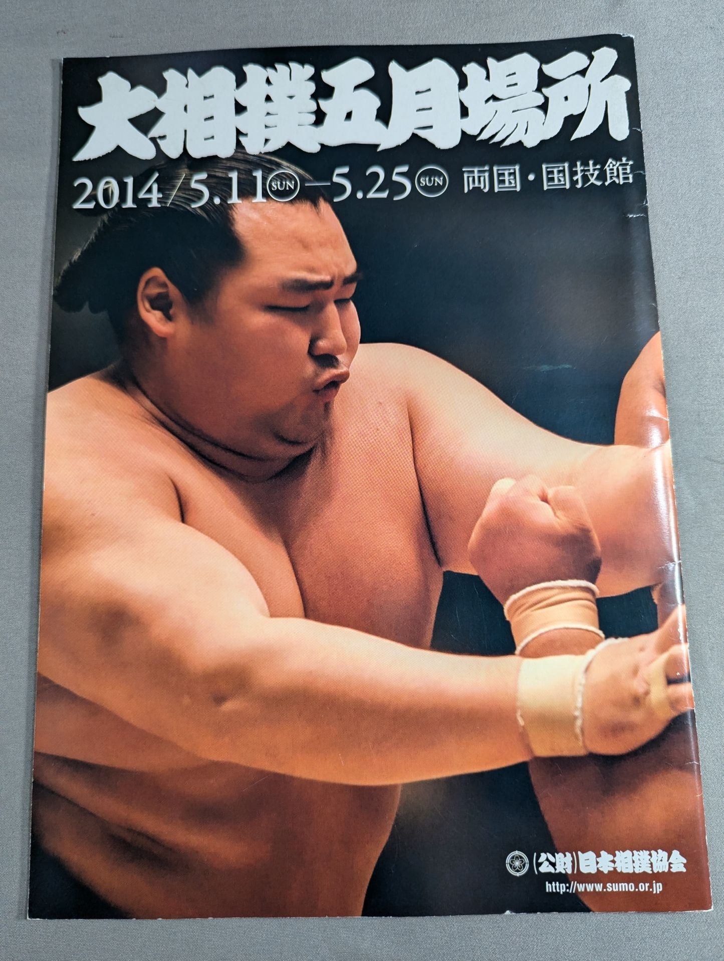 大相撲五月場所(2014年)