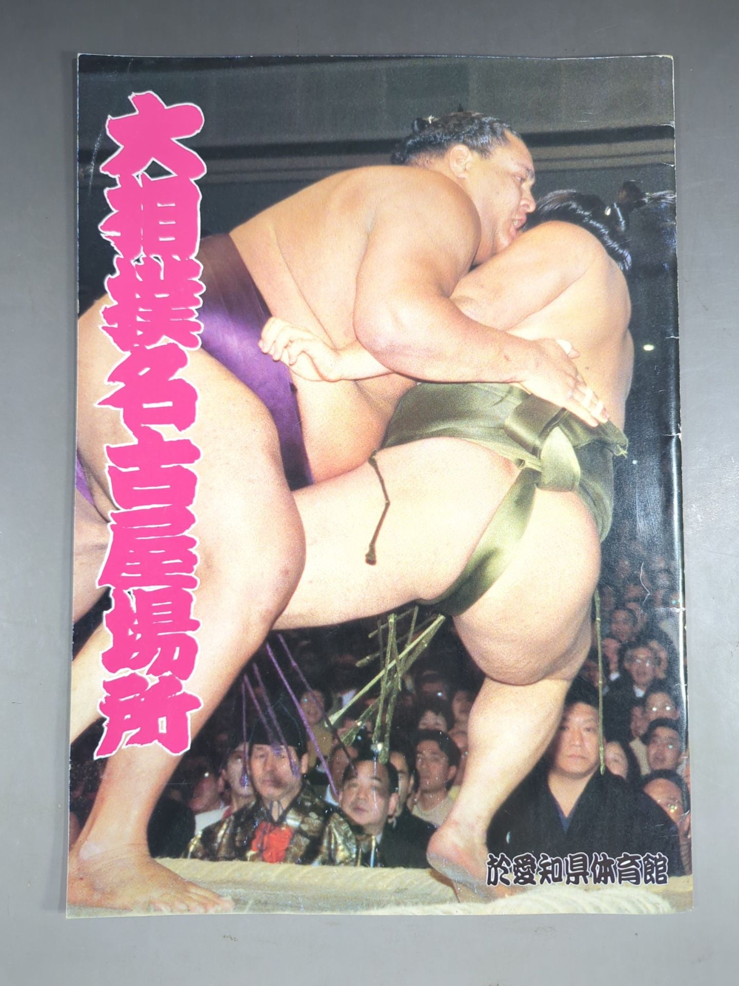 大相撲名古屋場所(1994年)