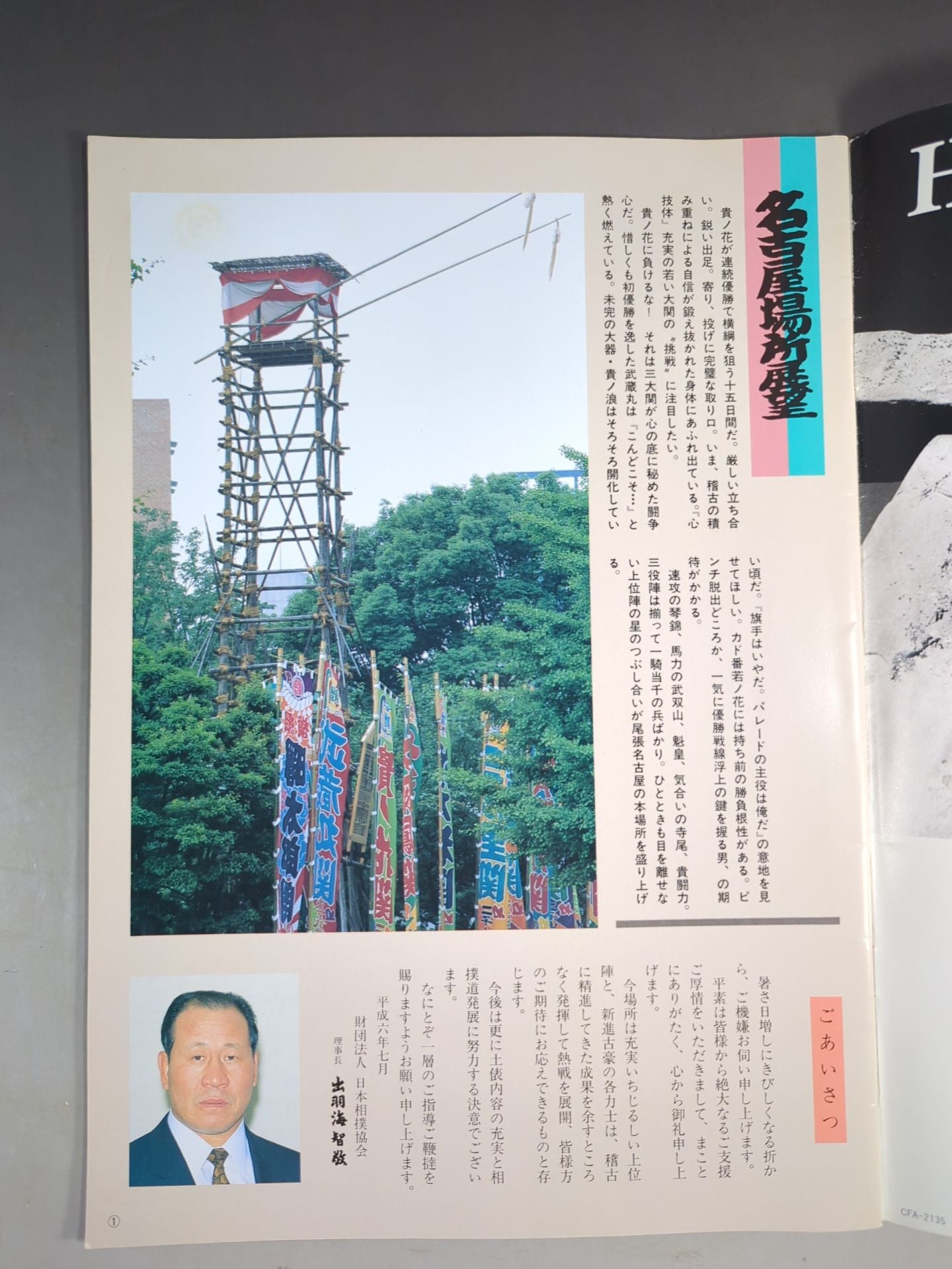 大相撲名古屋場所(1994年)