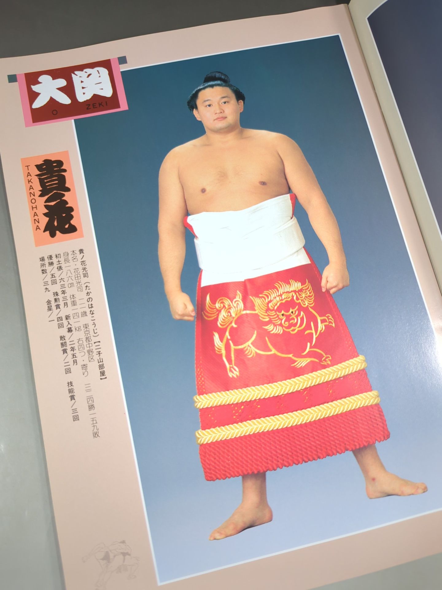大相撲名古屋場所(1994年)