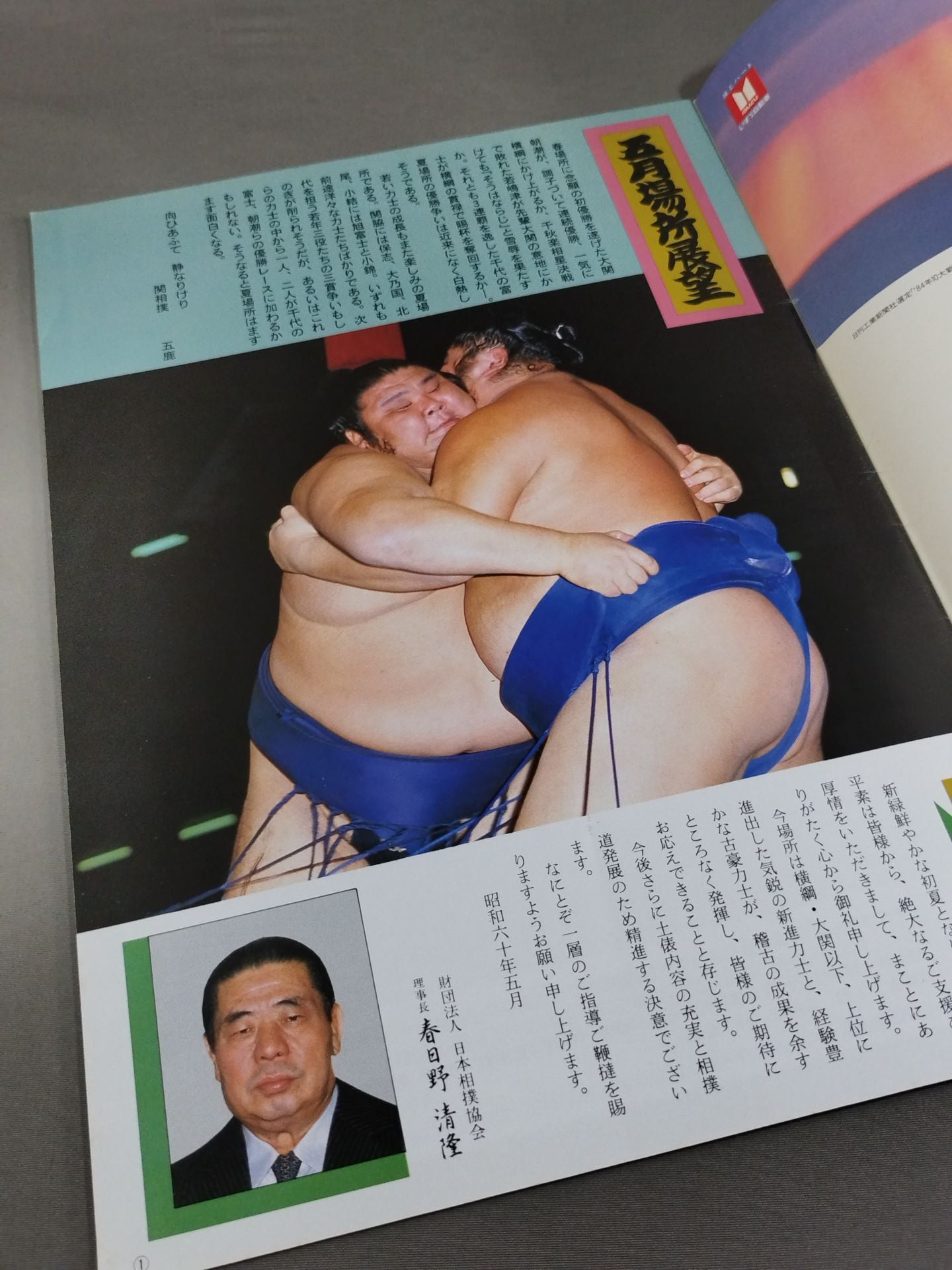 【入場券付】大相撲五月場所(1985年)