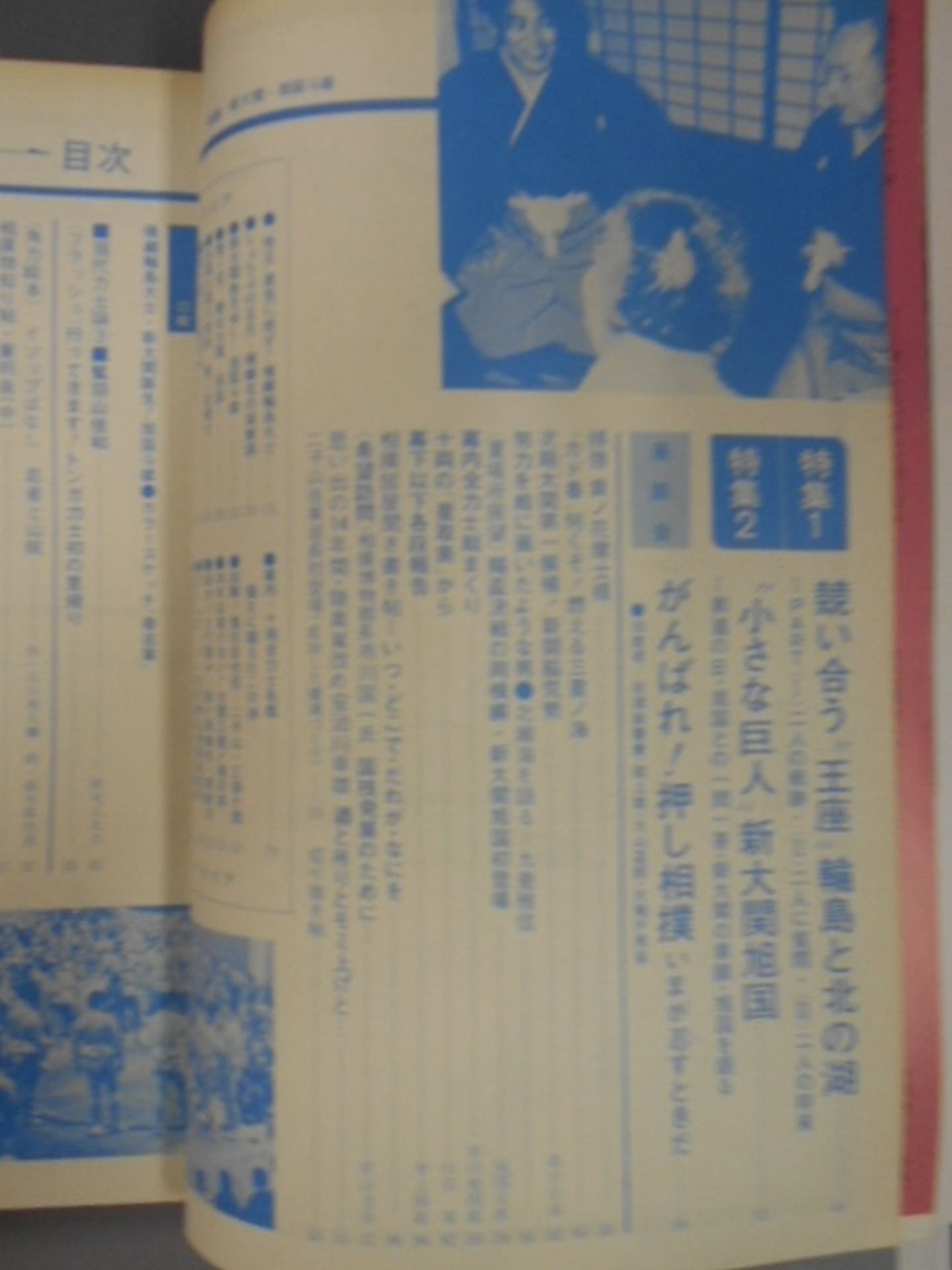 相撲 1976年5月号