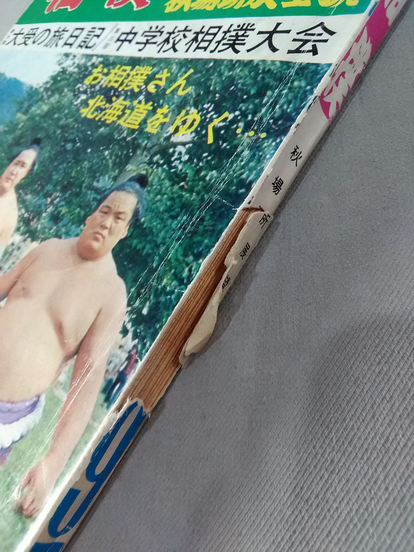 相撲 1973年9月号