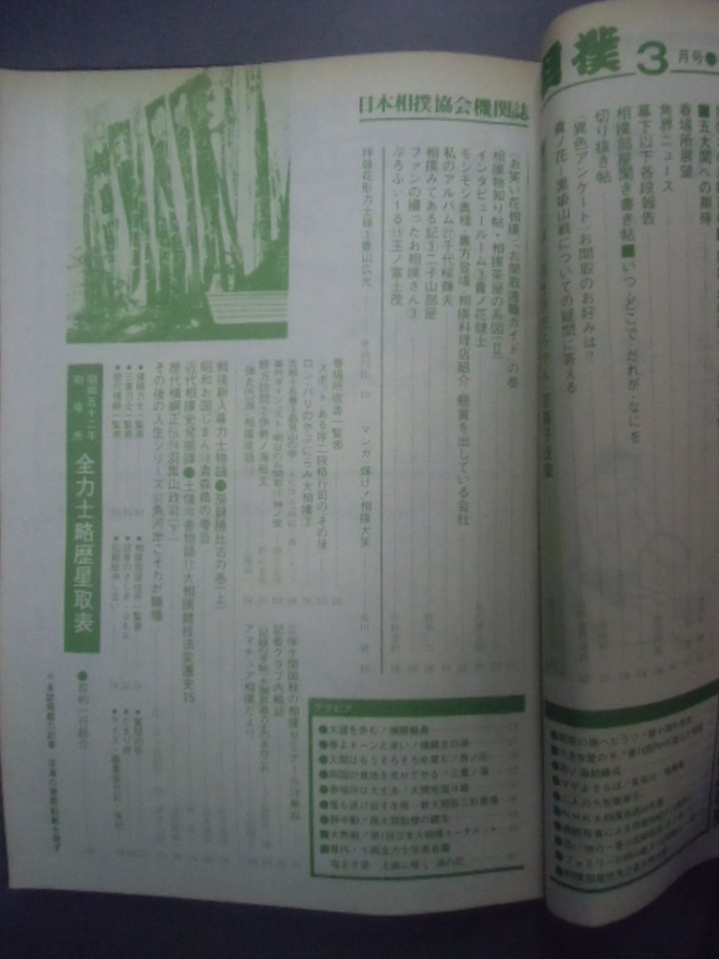Sumo 1977.03