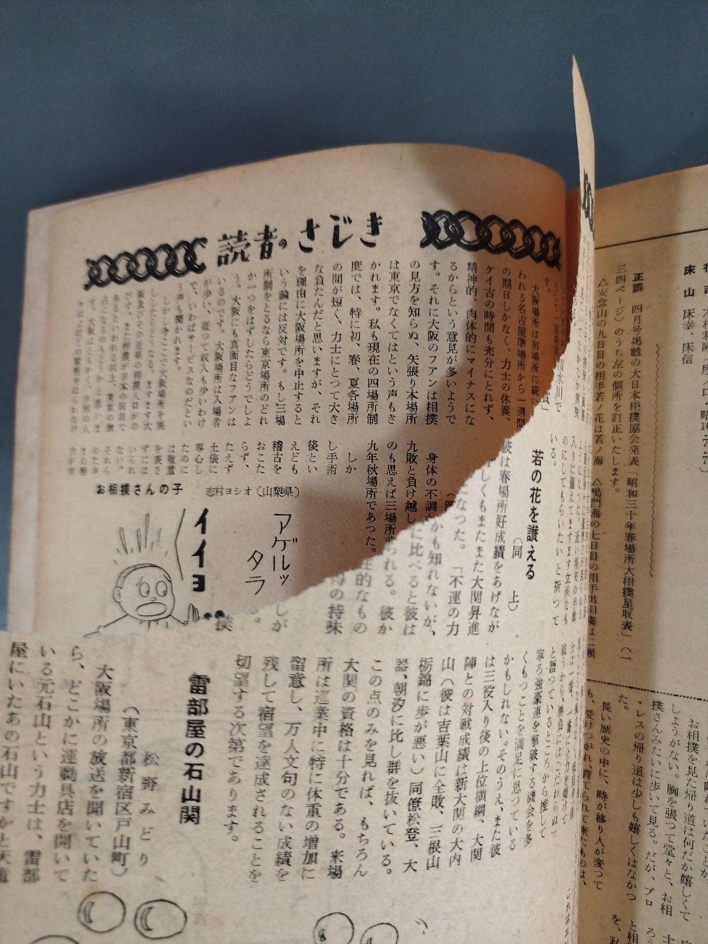 相撲 1955年5月号