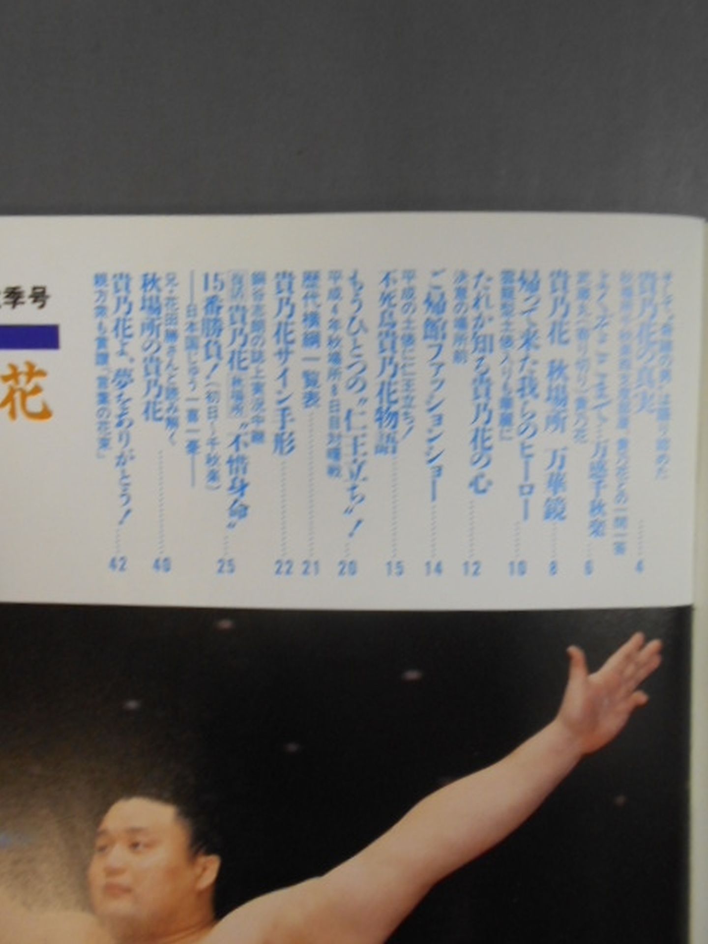 相撲 別冊秋季号 復活!貴乃花