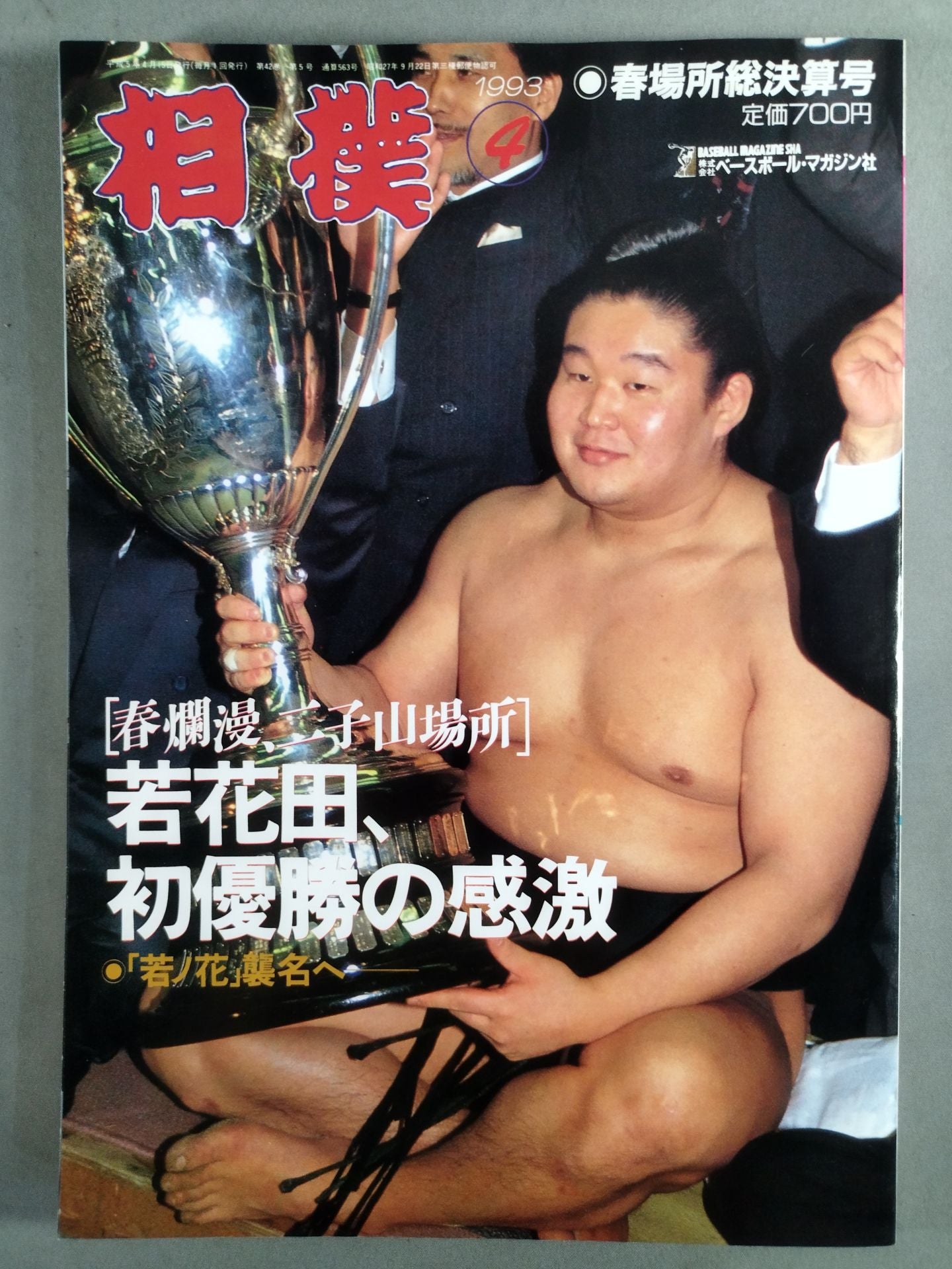 Sumo 1993-04