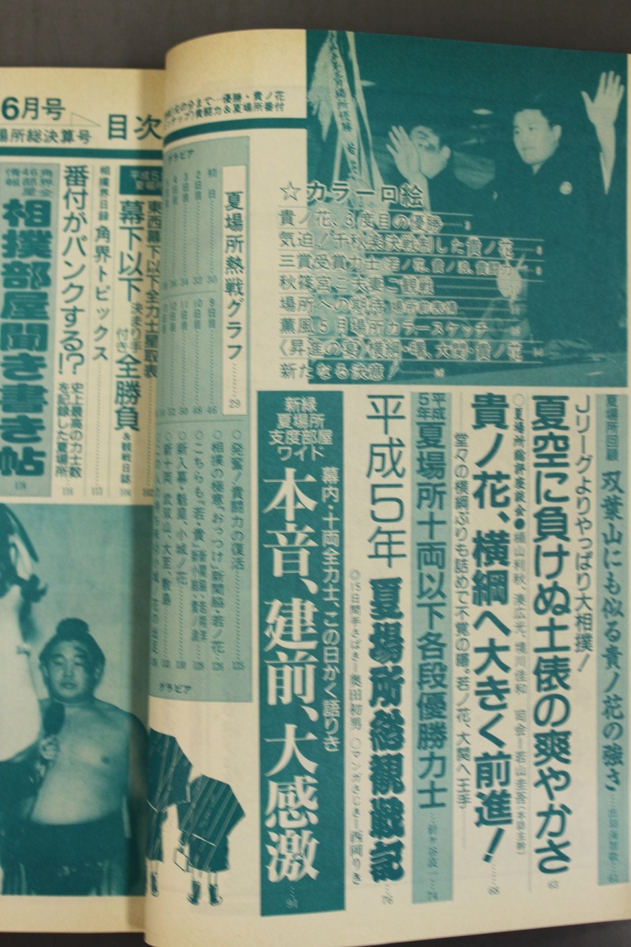 Sumo 1993.06