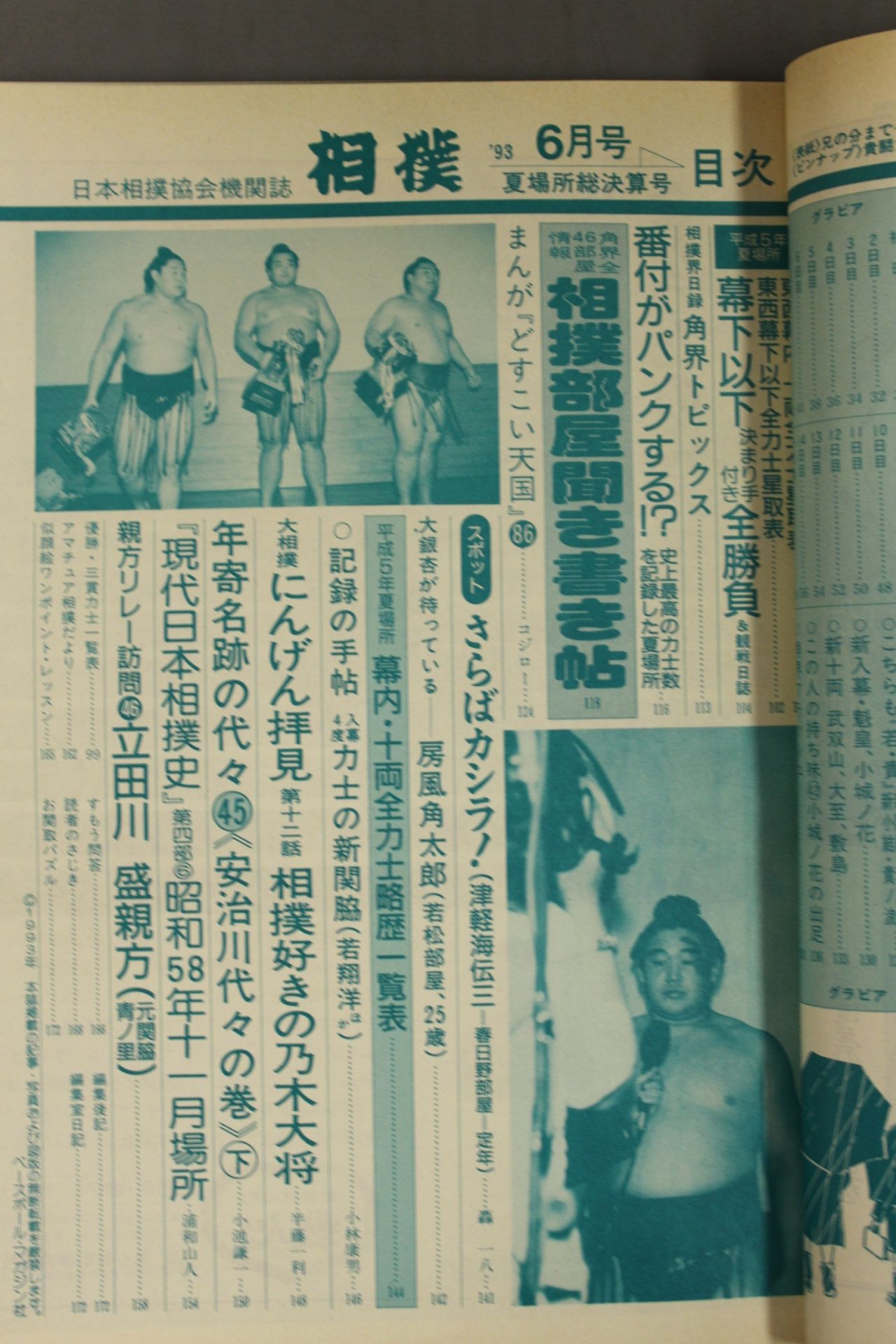 相撲 1993年6月号