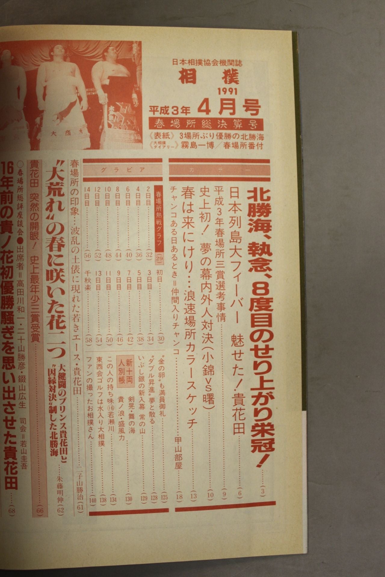 Sumo 1991.04