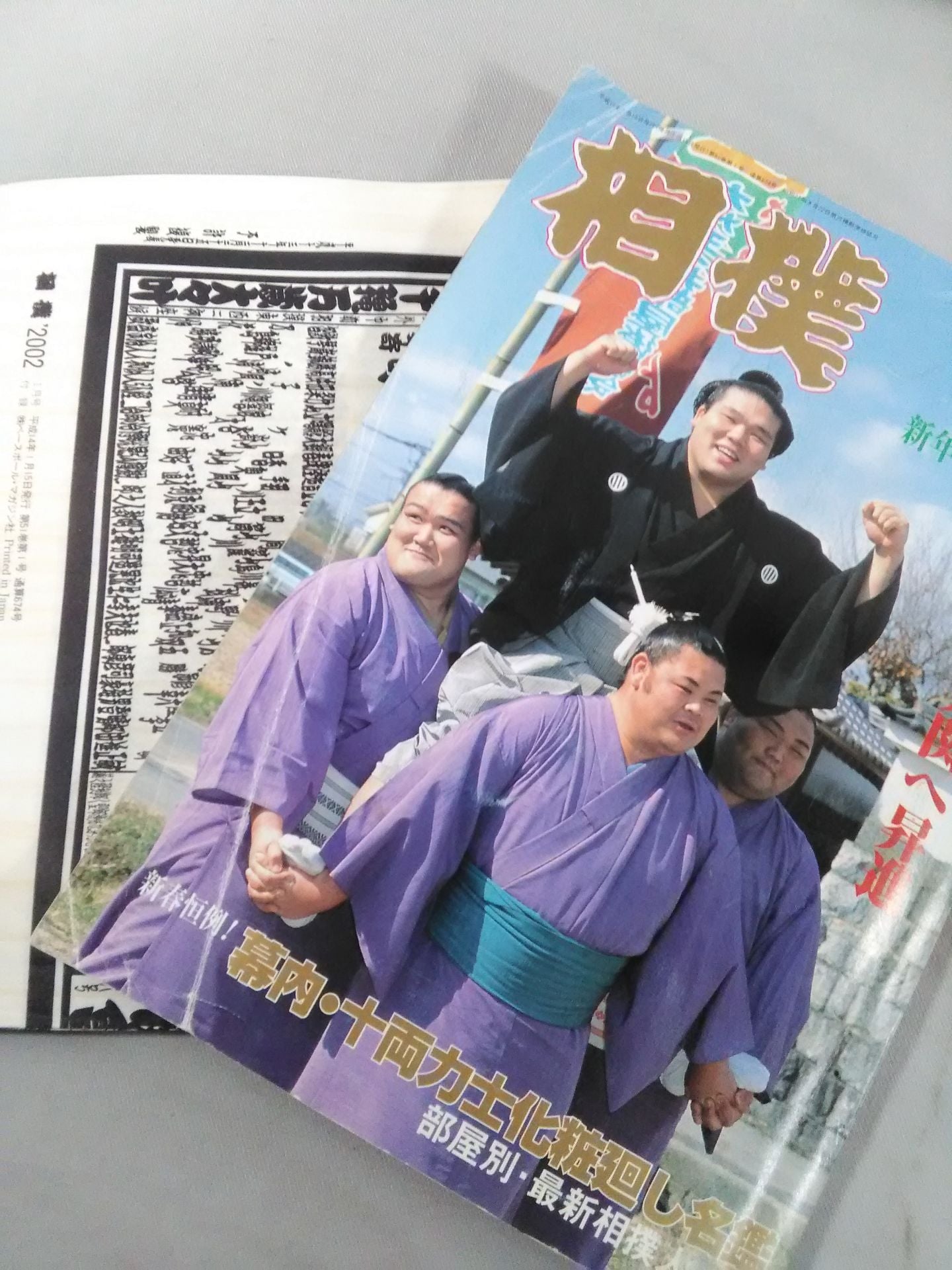 Sumo 2002.01