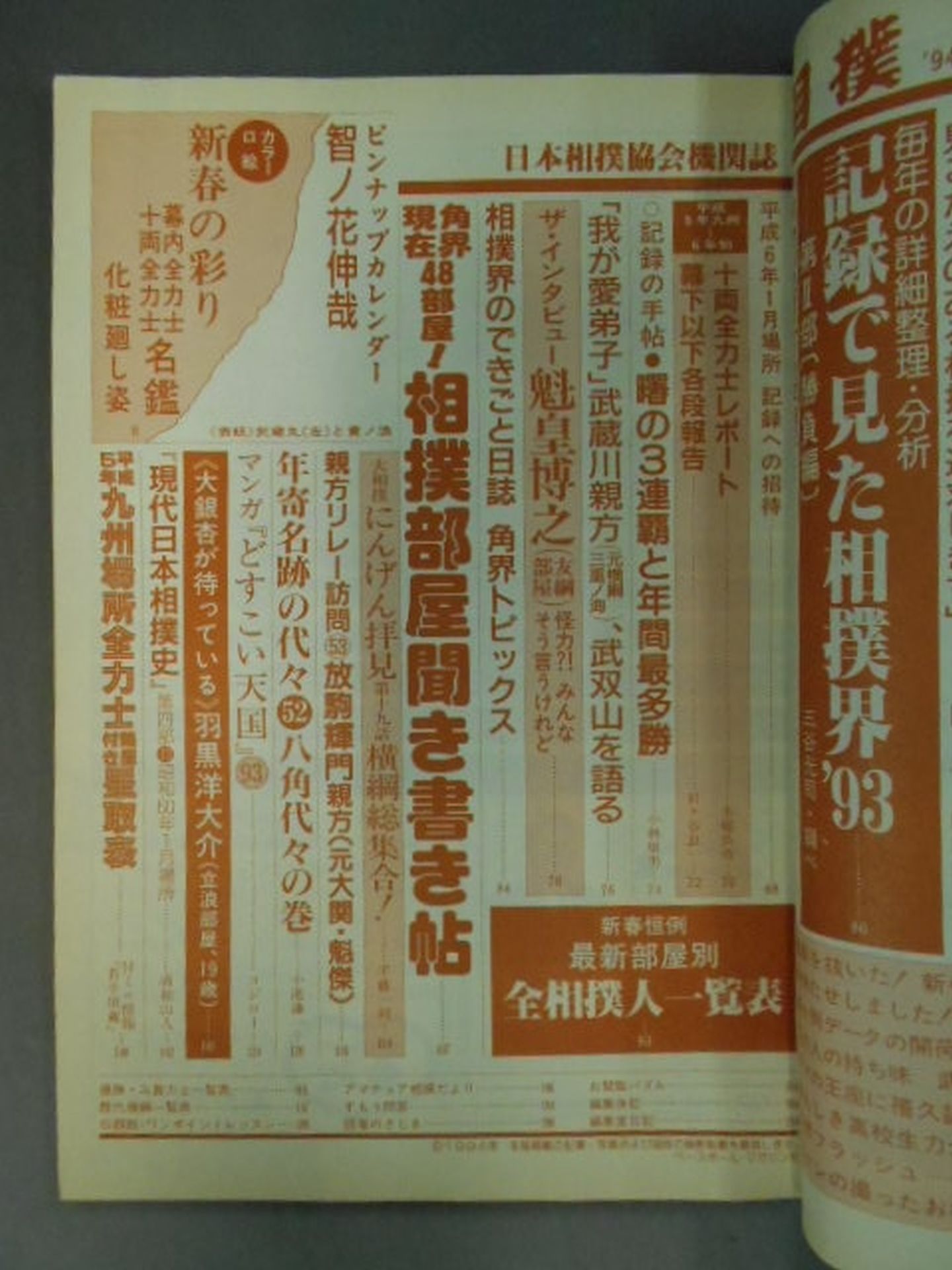 相撲 1994年1月号