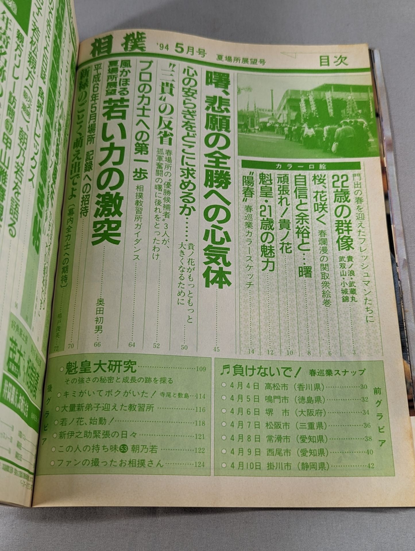 相撲 1994年05月号