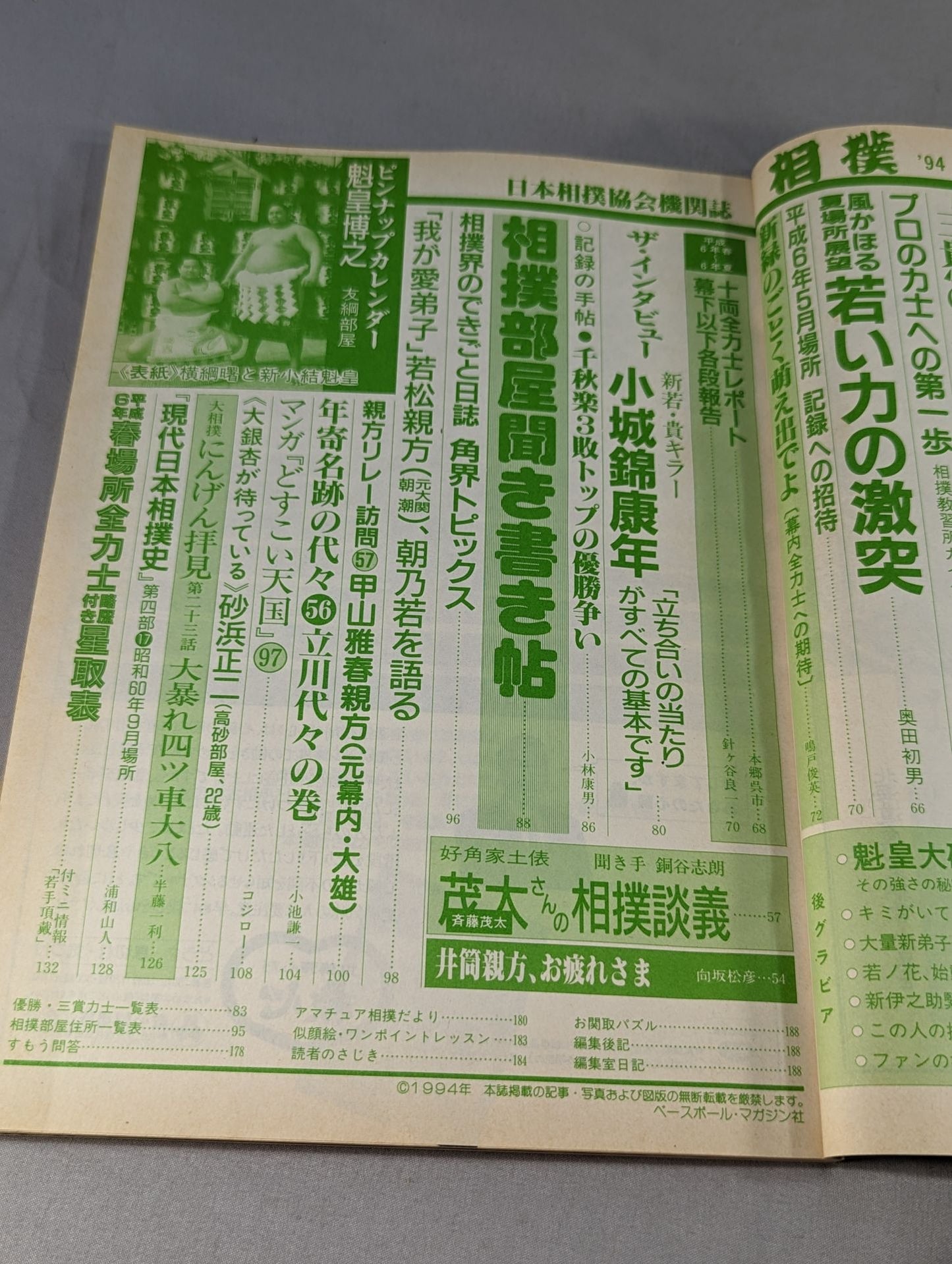 相撲 1994年05月号