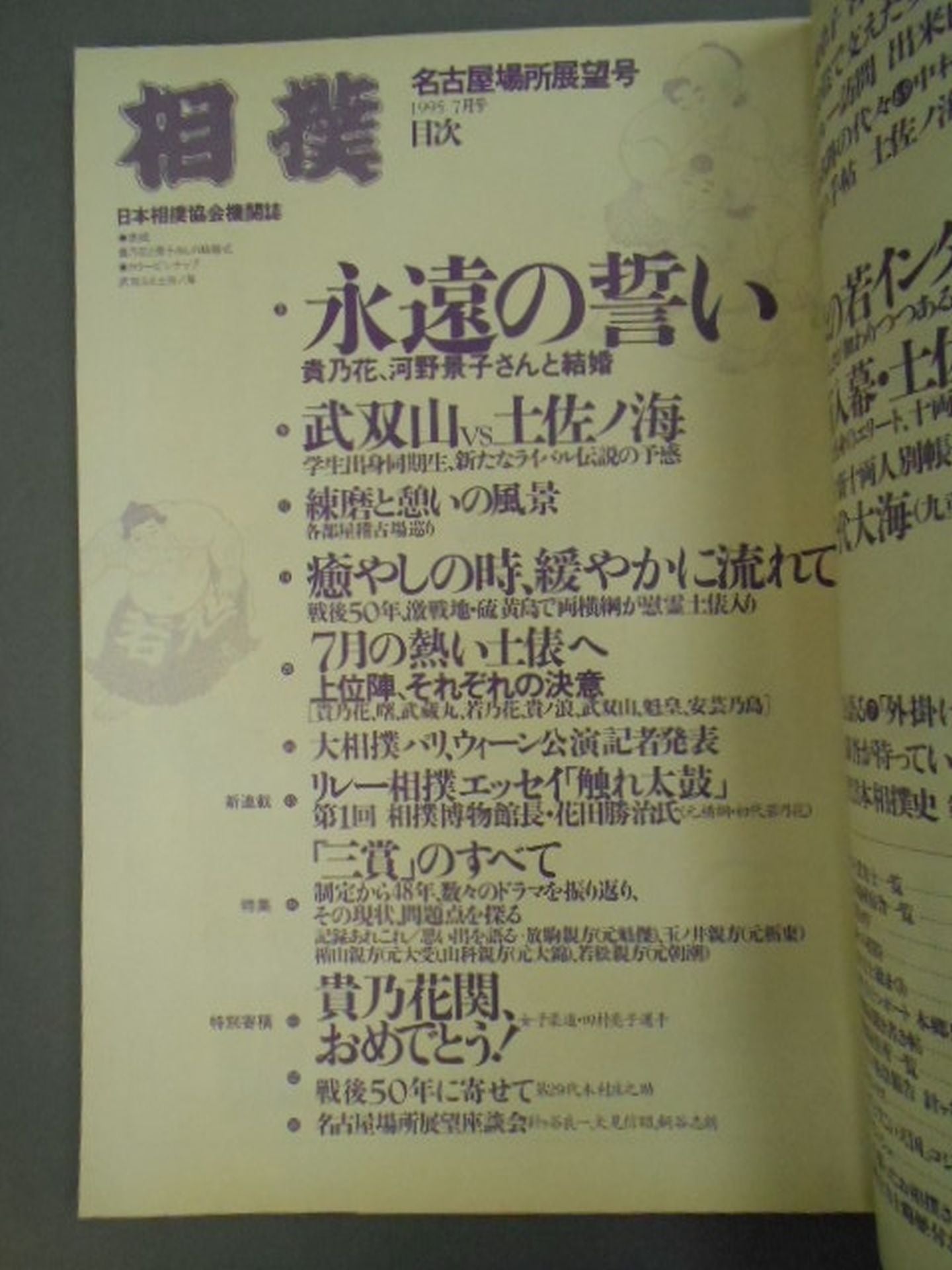 Sumo July 1995