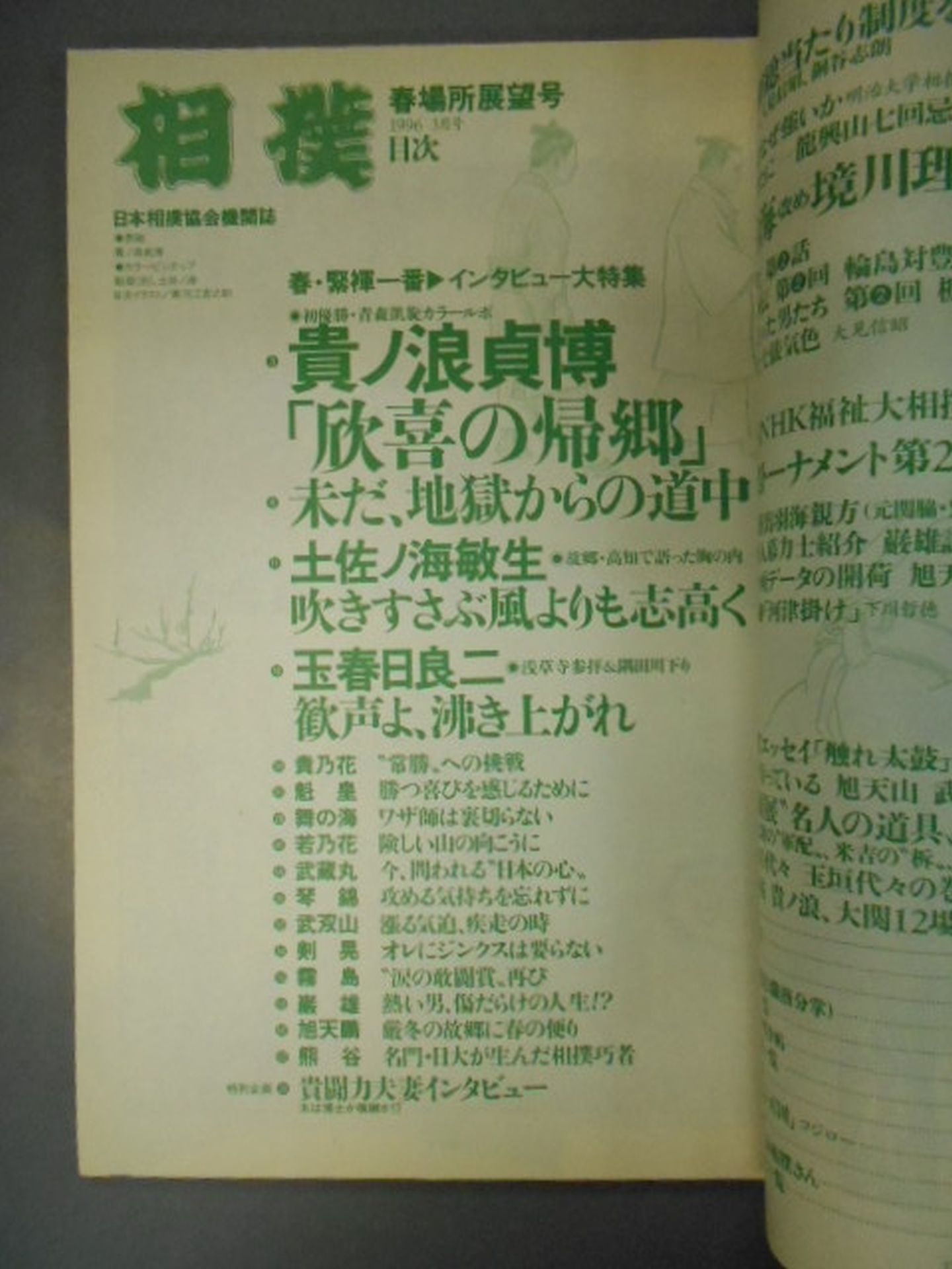 Sumo March 1996 issue