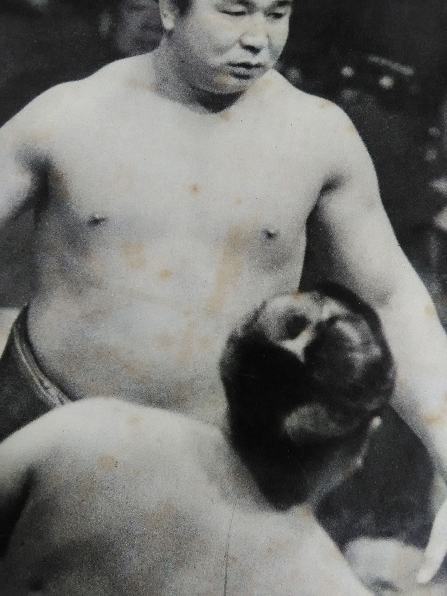 Sumo Gaho (published on February 1, 1958)