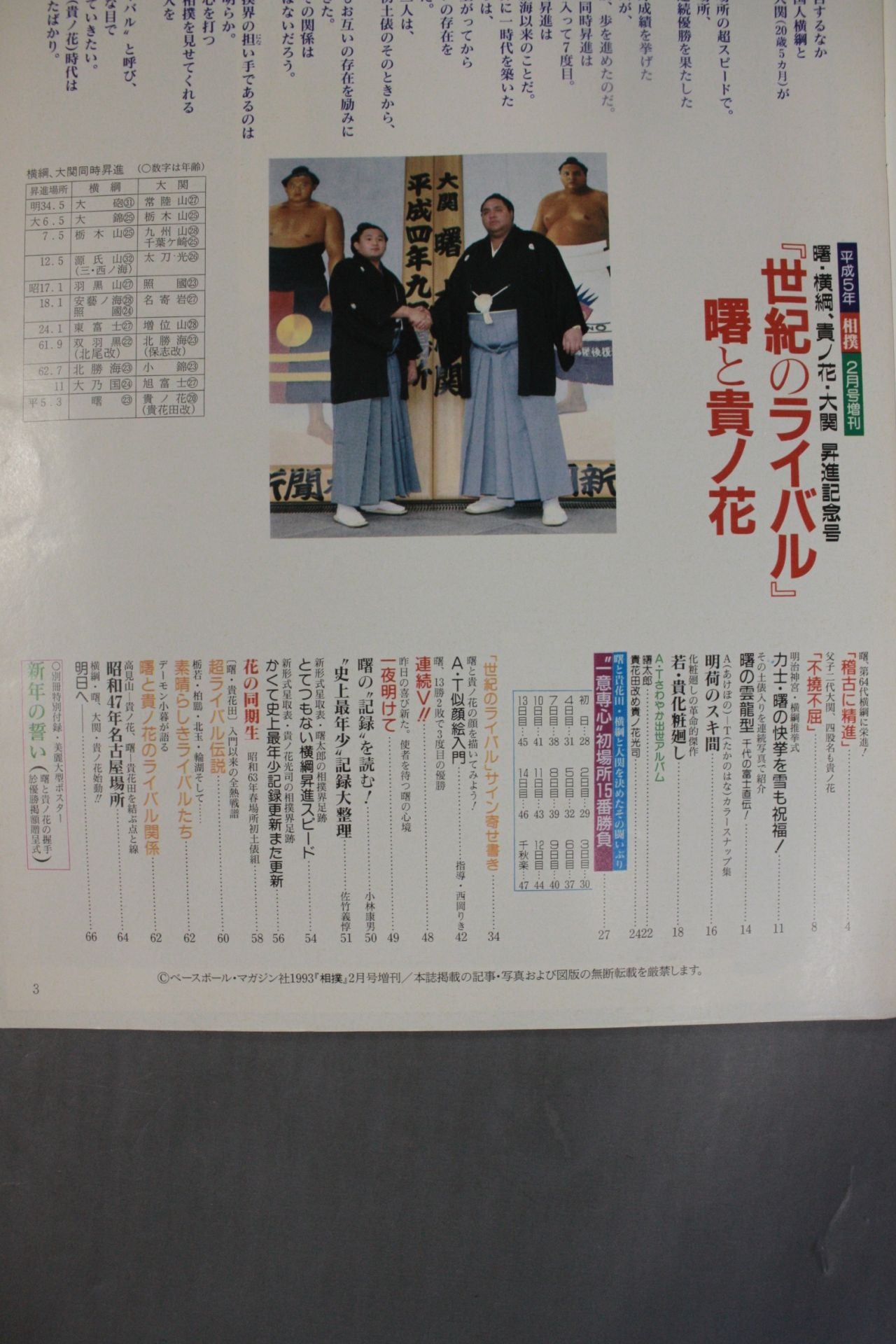 相撲 1993年2月号増刊