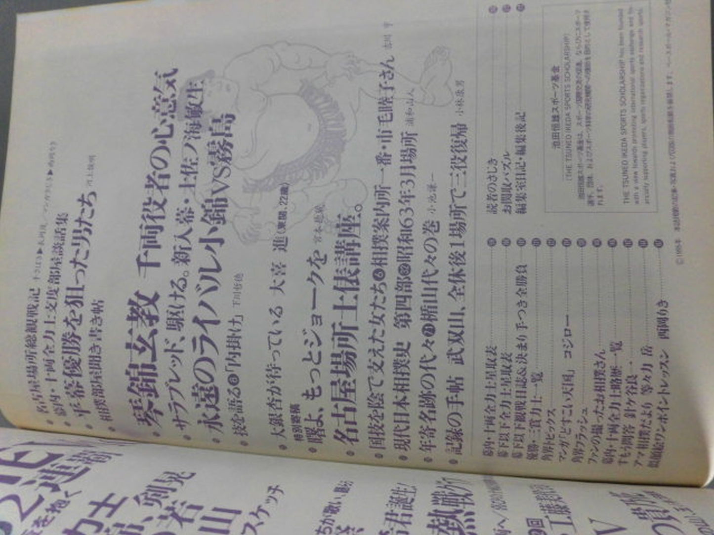相撲 1995年8月号