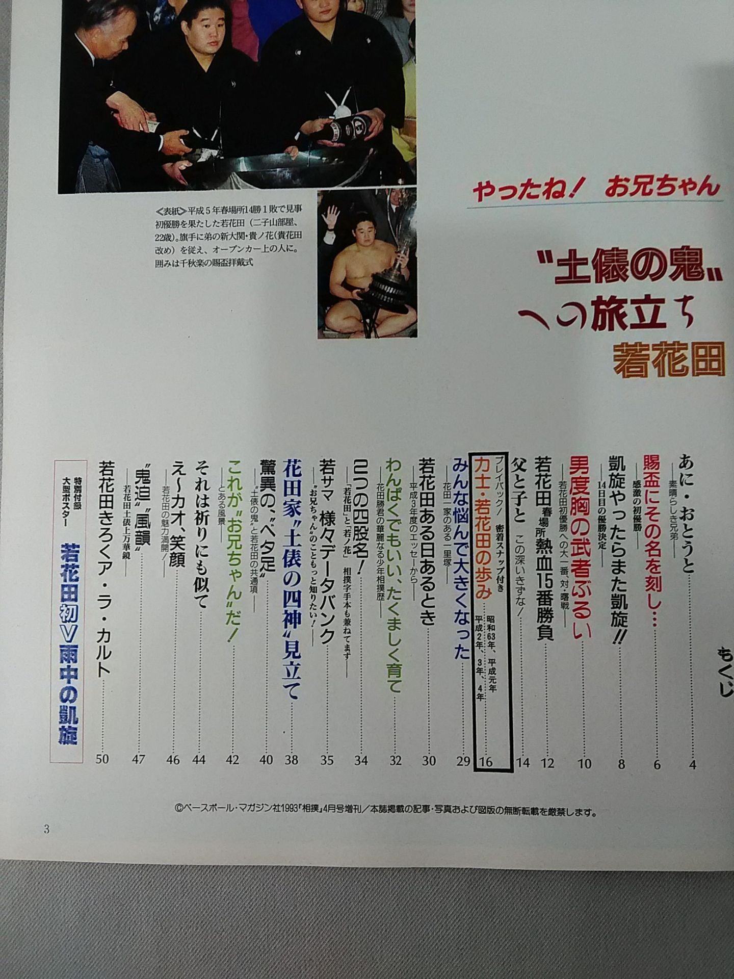 相撲 1993年4月号増刊