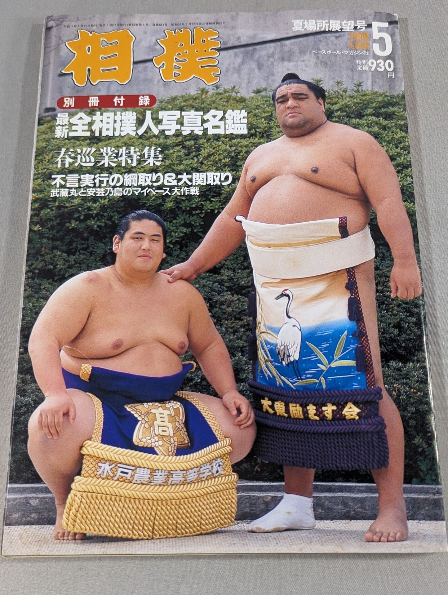 Sumo 1999.05