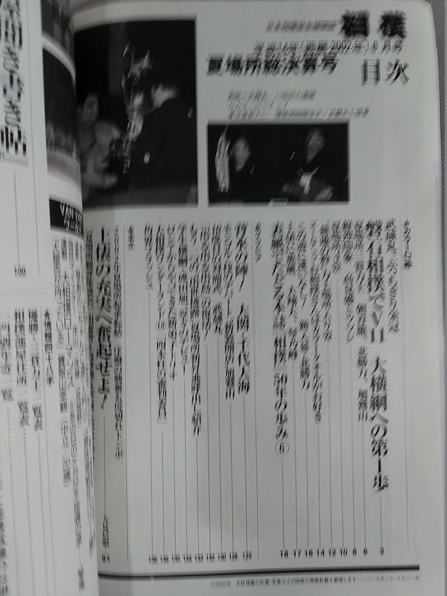 Sumo 2002.06