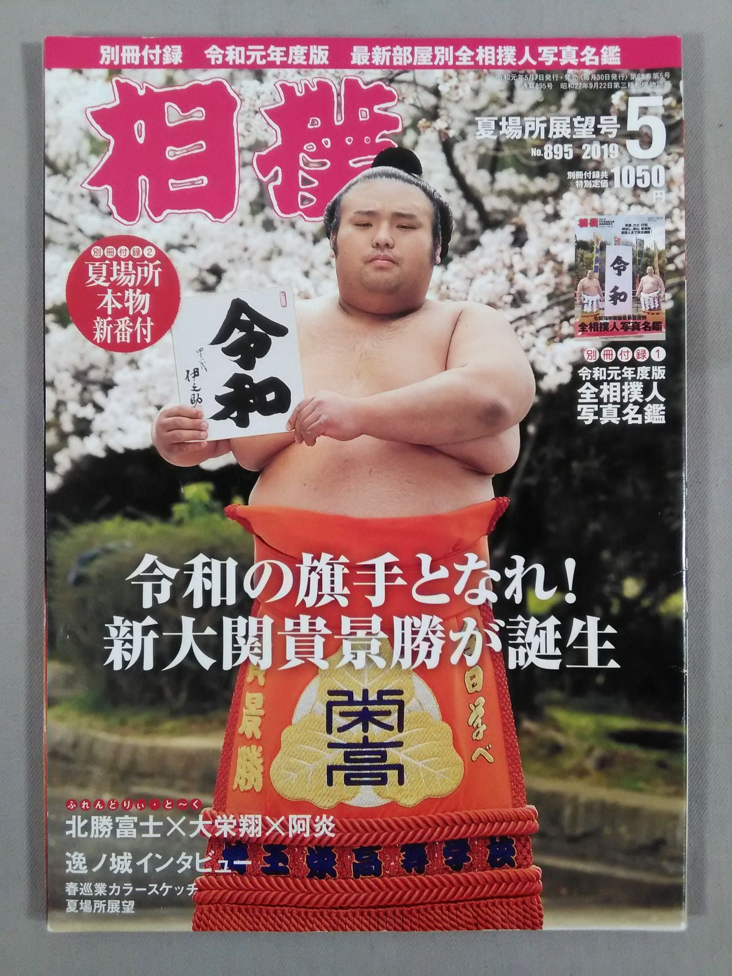 Sumo May 2019