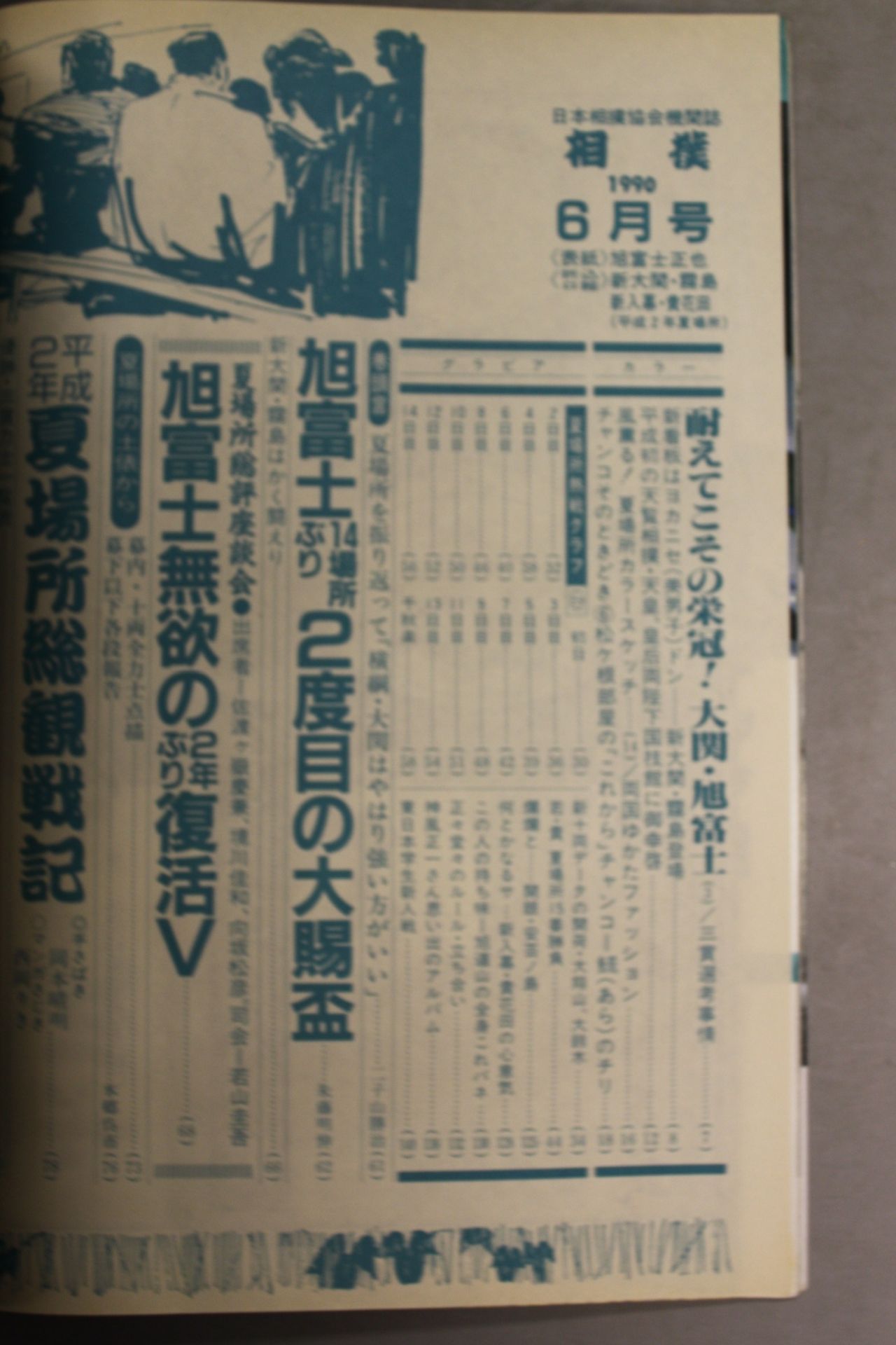 相撲 1990年6月号
