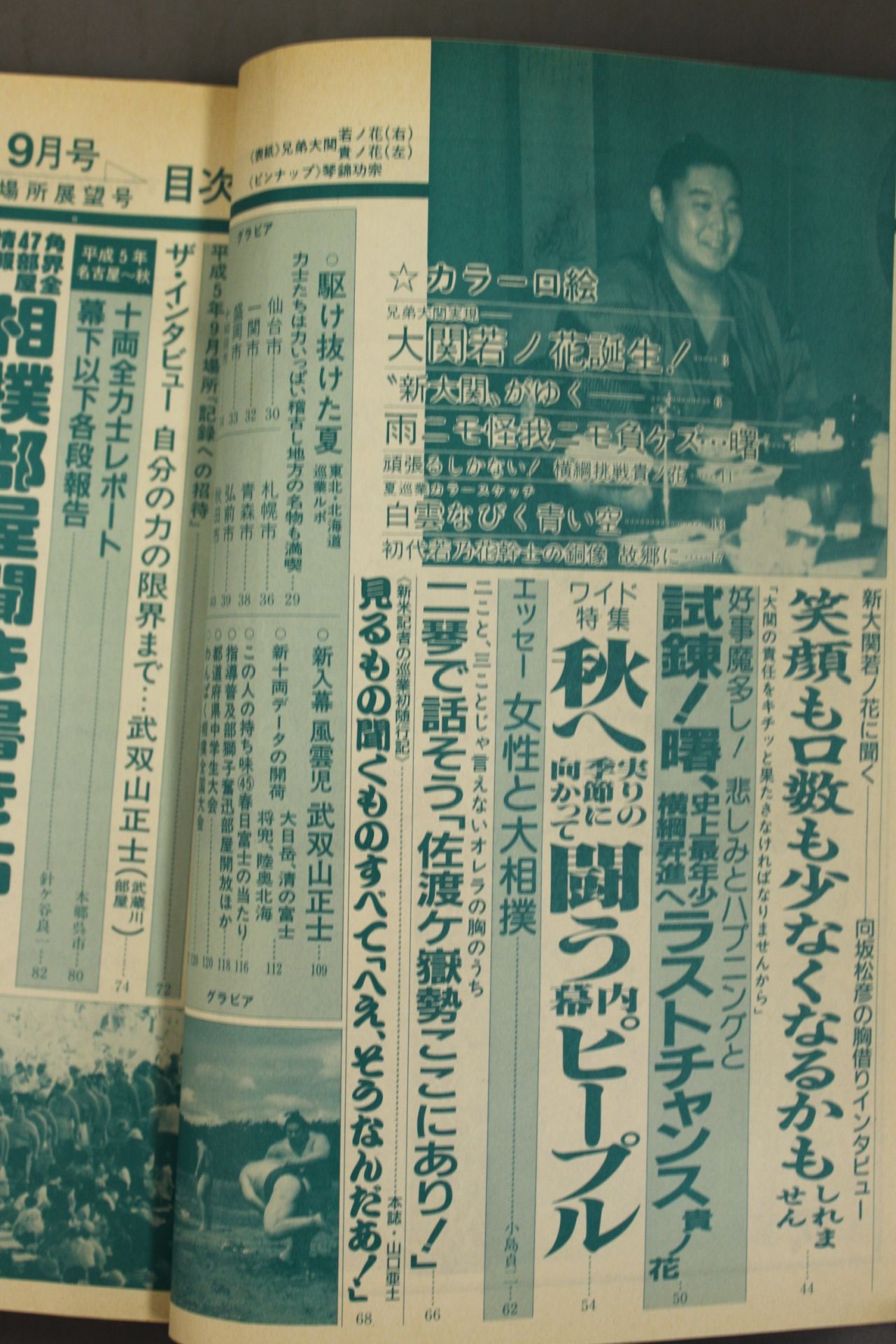 Sumo September 1993