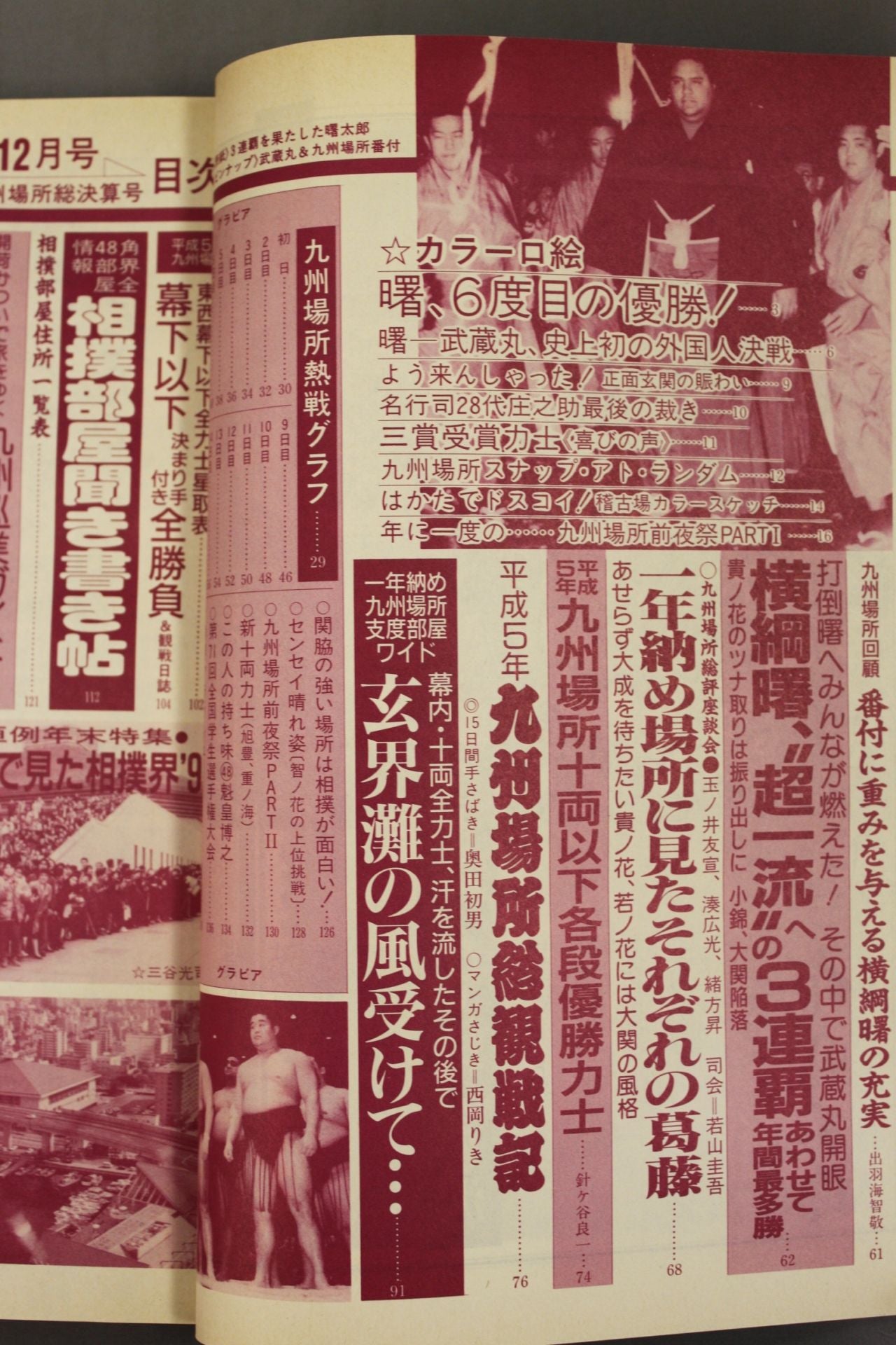 Sumo December 1993