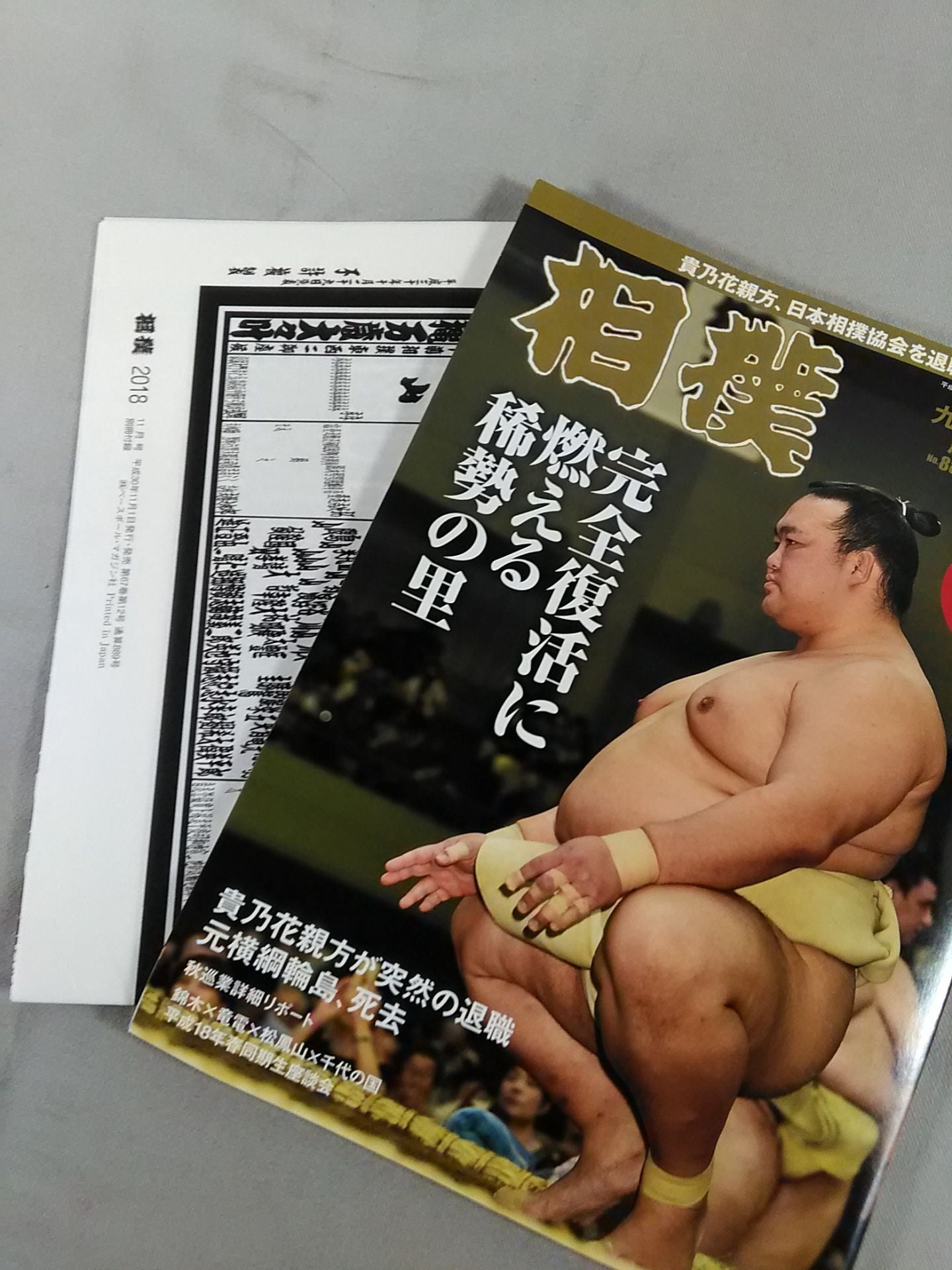 相撲 2018年11月号