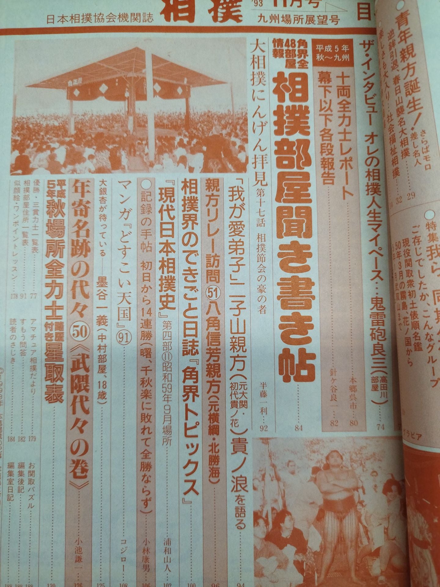 Sumo November 1993