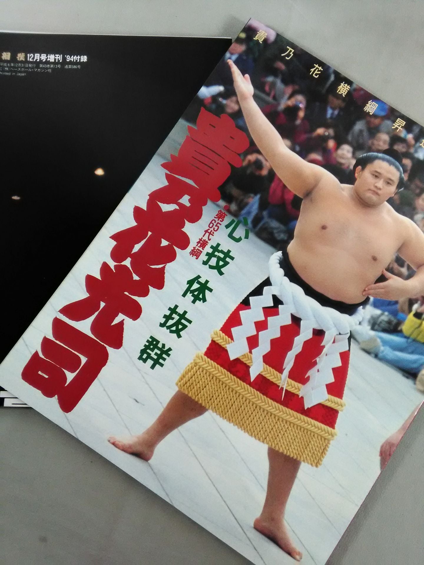 Outstanding mental and physical skills 65th yokozuna Takanohana Koji