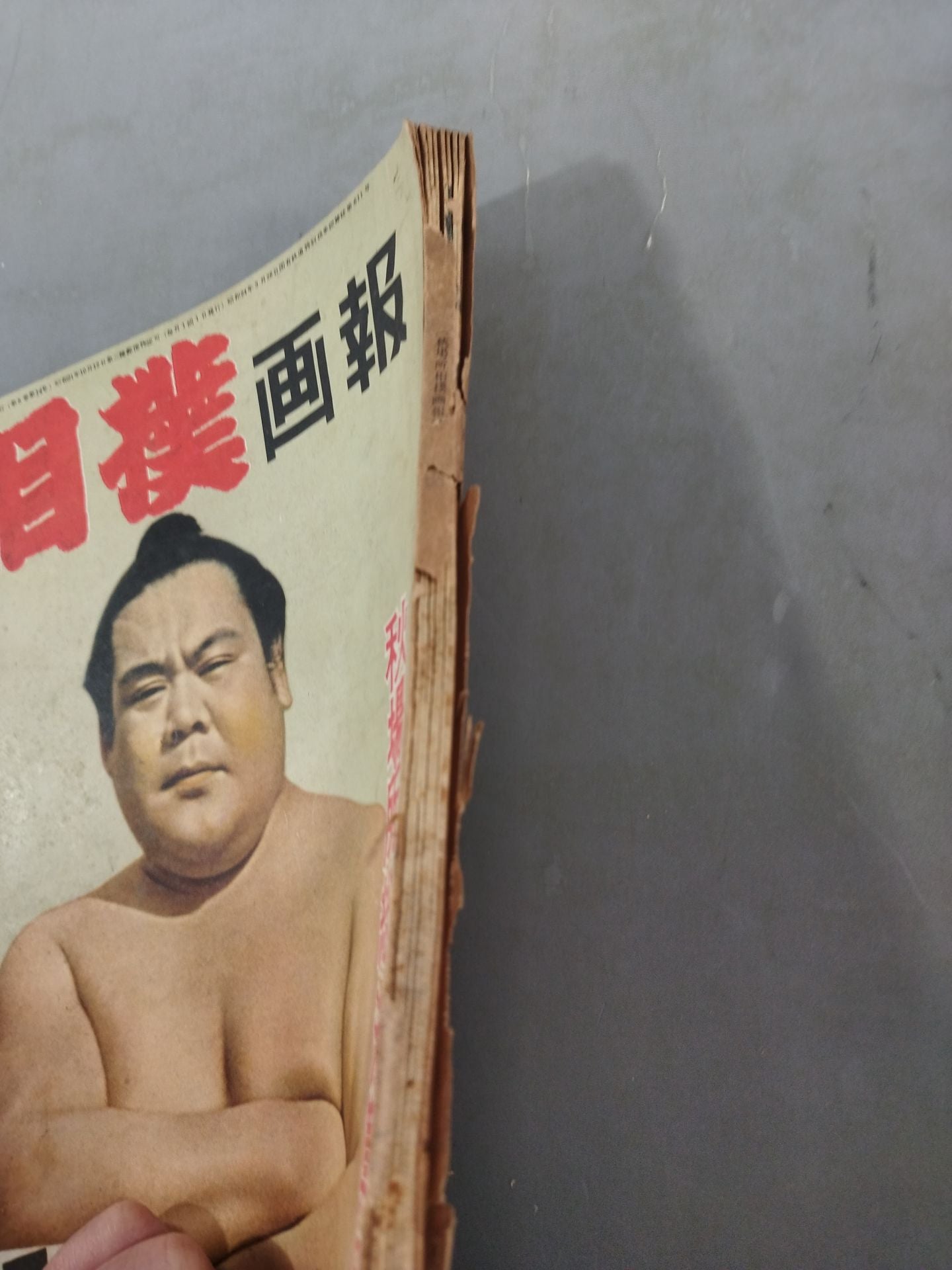 Sumo November 1953