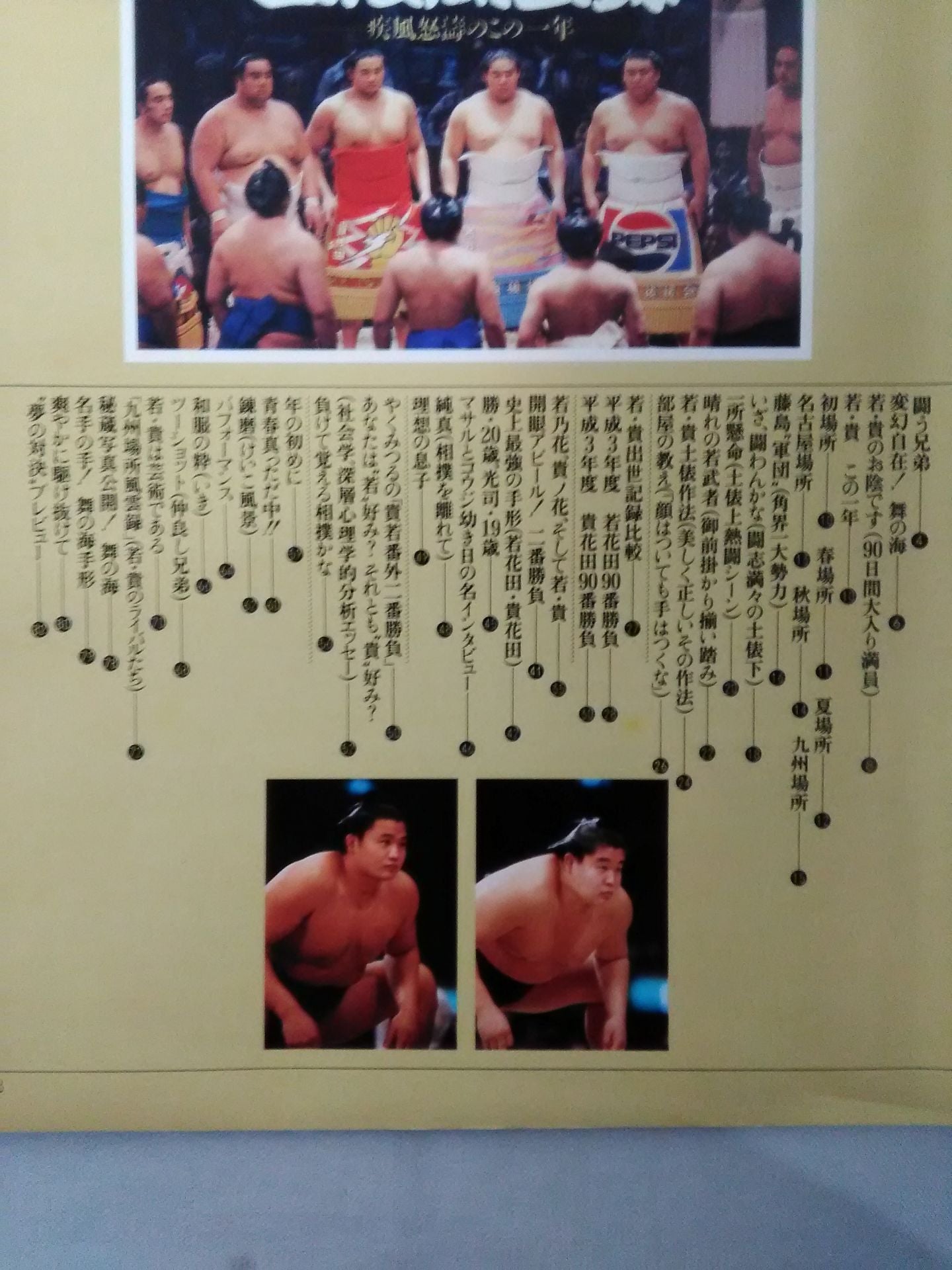 VANVAN Sumo World 1991 Bessatsu Winter Issue Dohyo Fuun Record