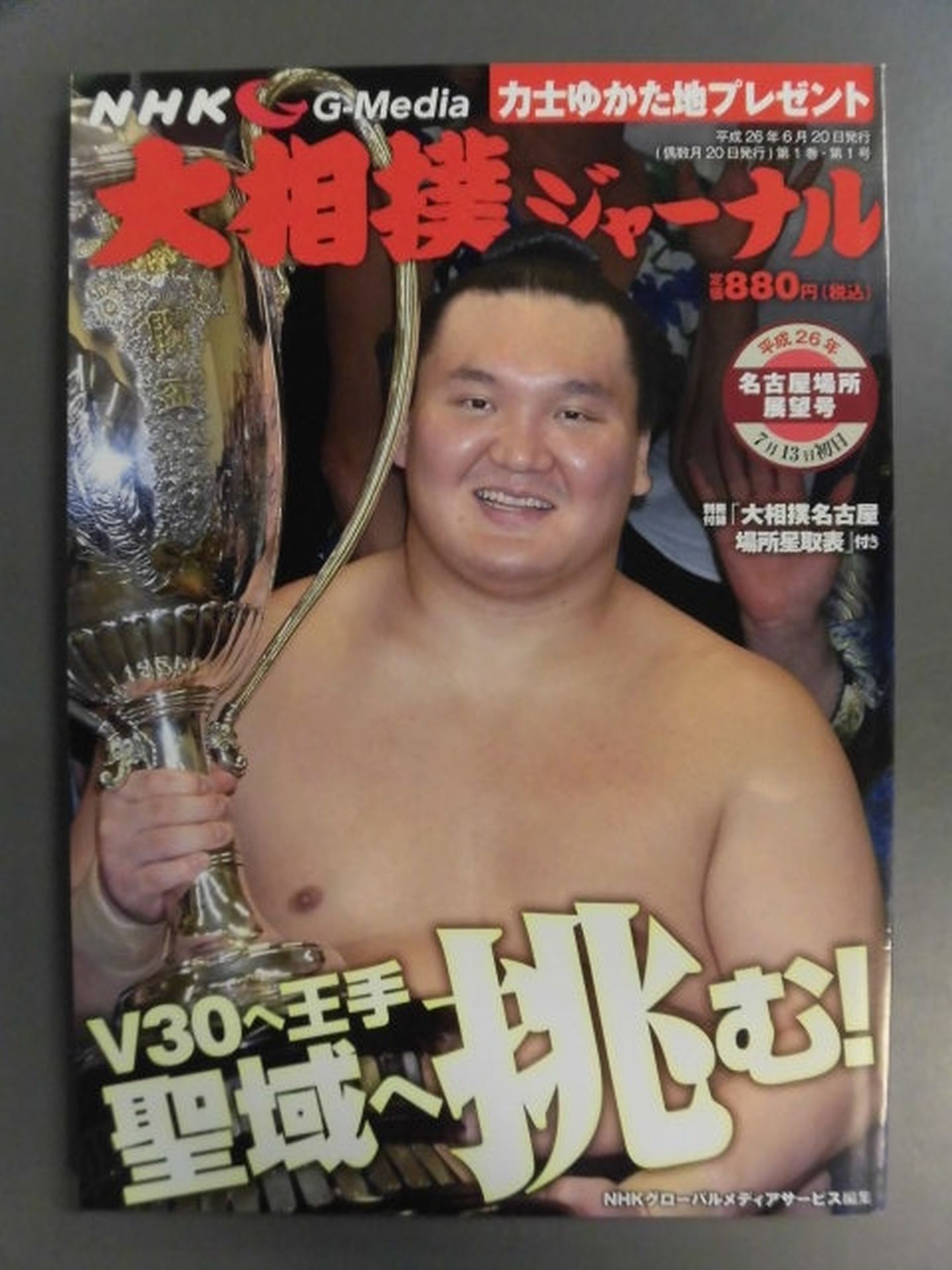 Sumo Journal Heisei 26 Nagoya Location Outlook Issue