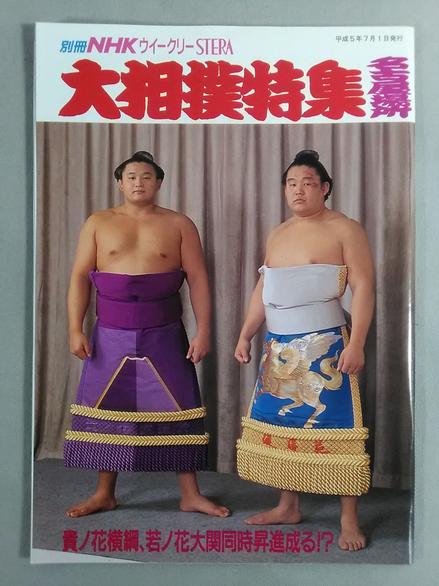 別冊NHKウイークリーSTERA 大相撲特集 名古屋場所