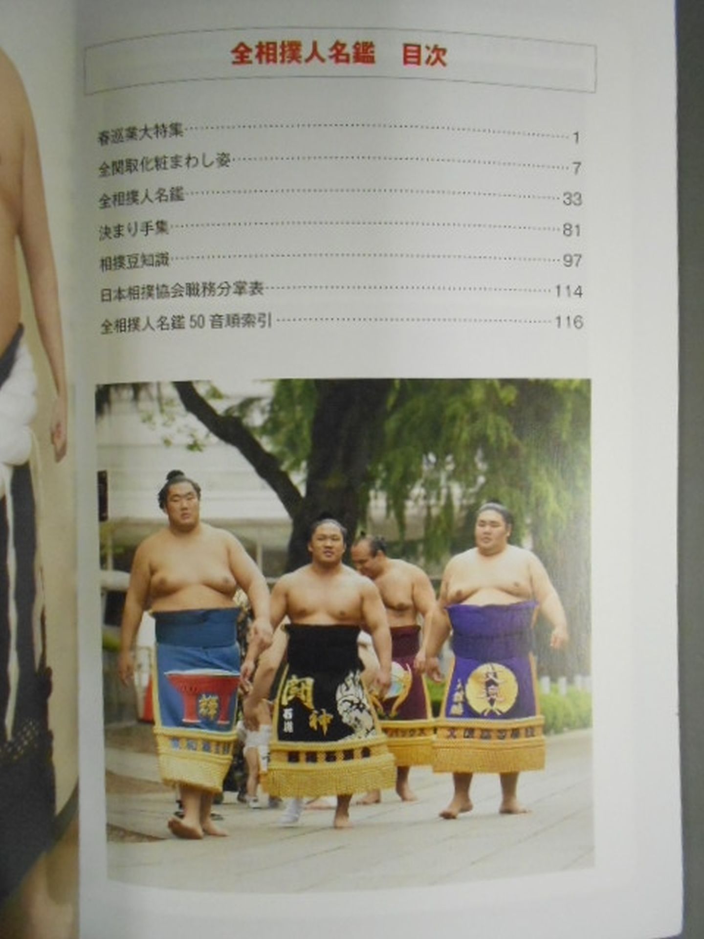 別冊NHKウイークリーSTERA 平成21年 部屋別 全相撲人名鑑