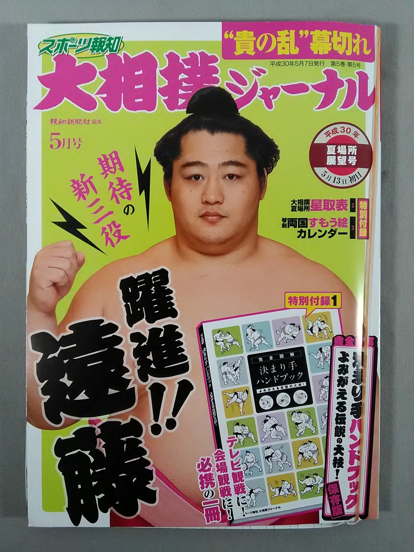 大相撲ジャーナル 平成30年夏場所展望号
