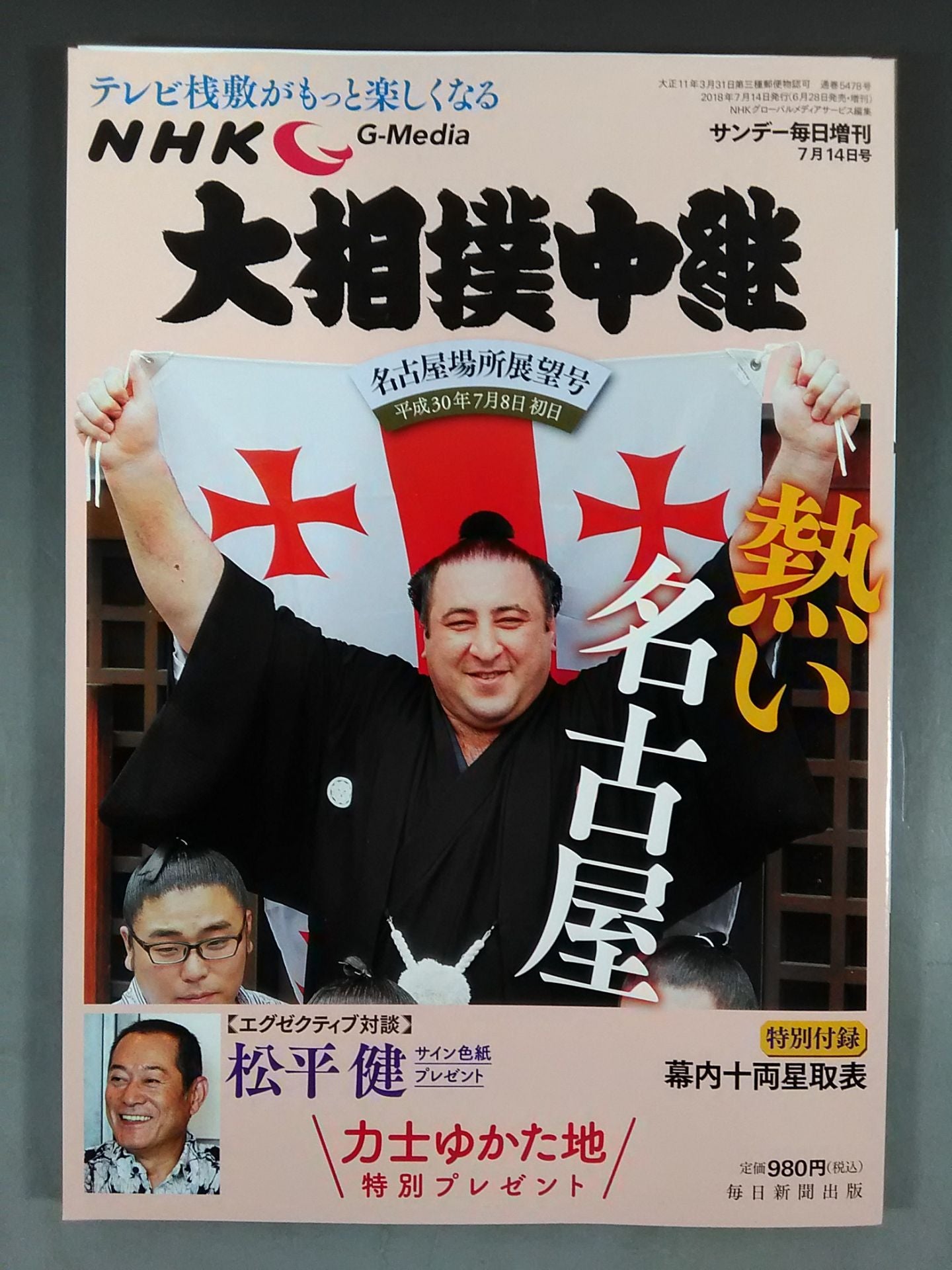 大相撲中継 平成30年名古屋場所展望号