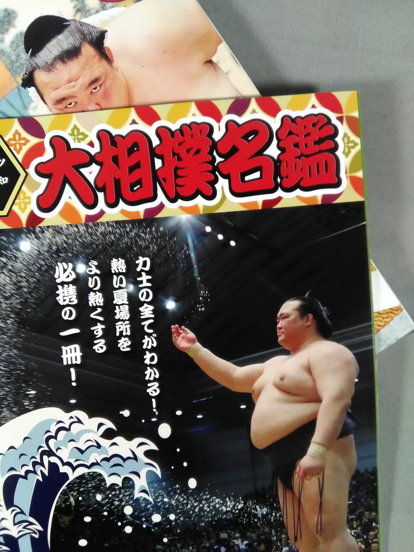 Sumo Journal Heisei 29 Summer Place Outlook Issue