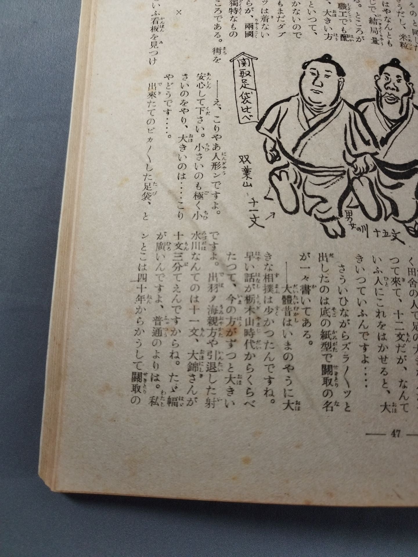 Showa 14 Sumo Summer Place