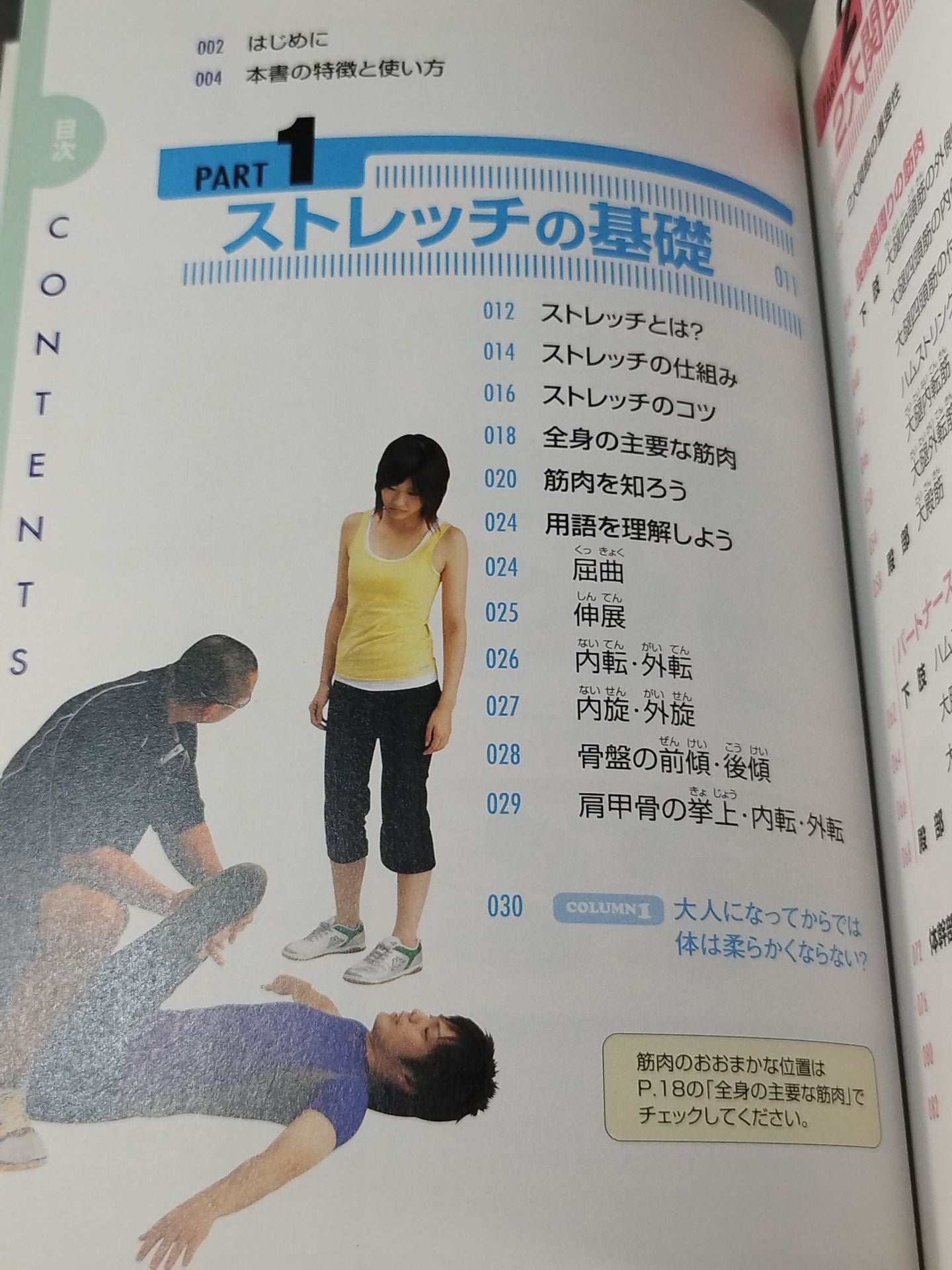 パーフェクト・ストレッチ