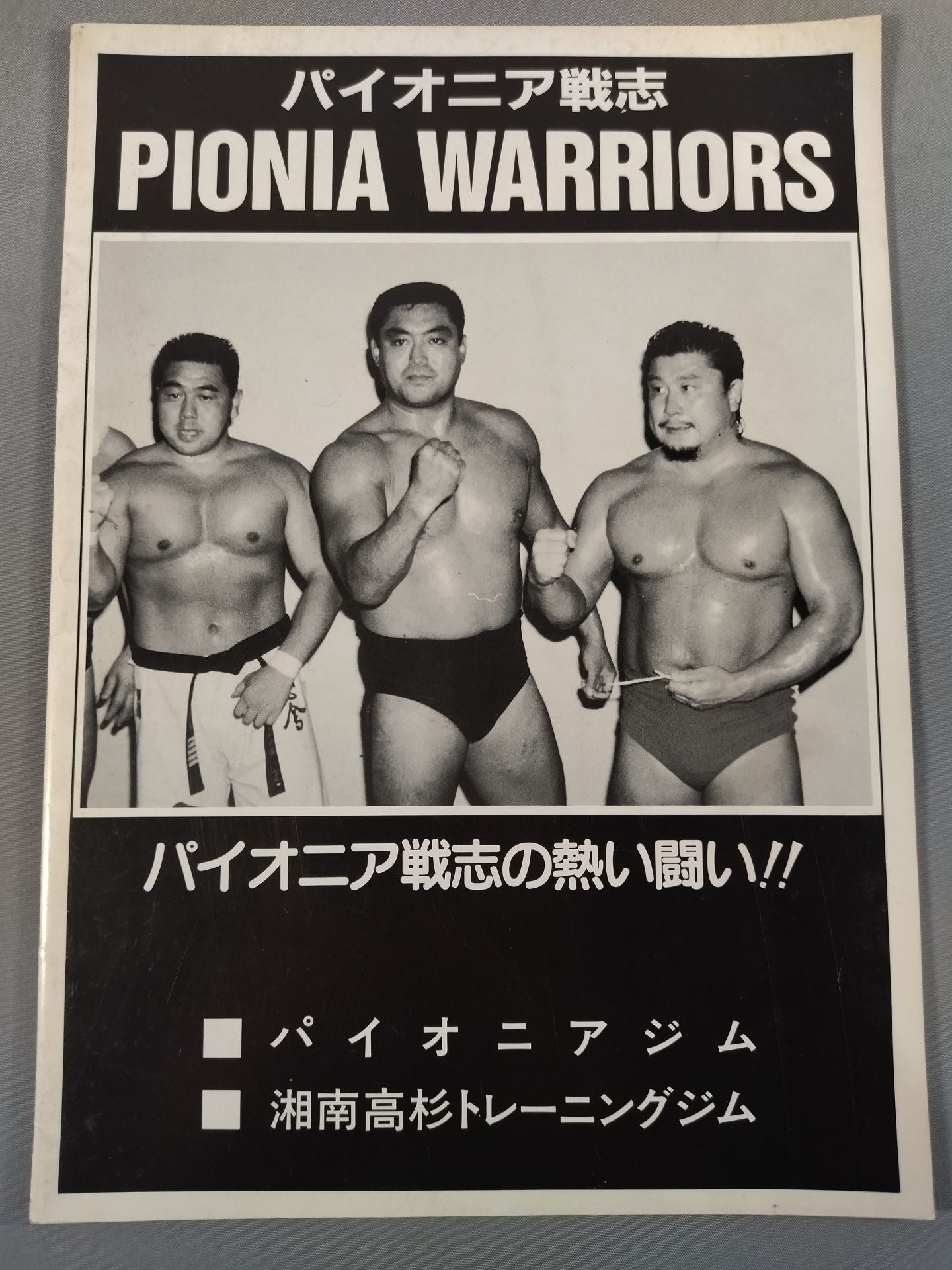 パイオニア戦志 PIONIA WARRIORS