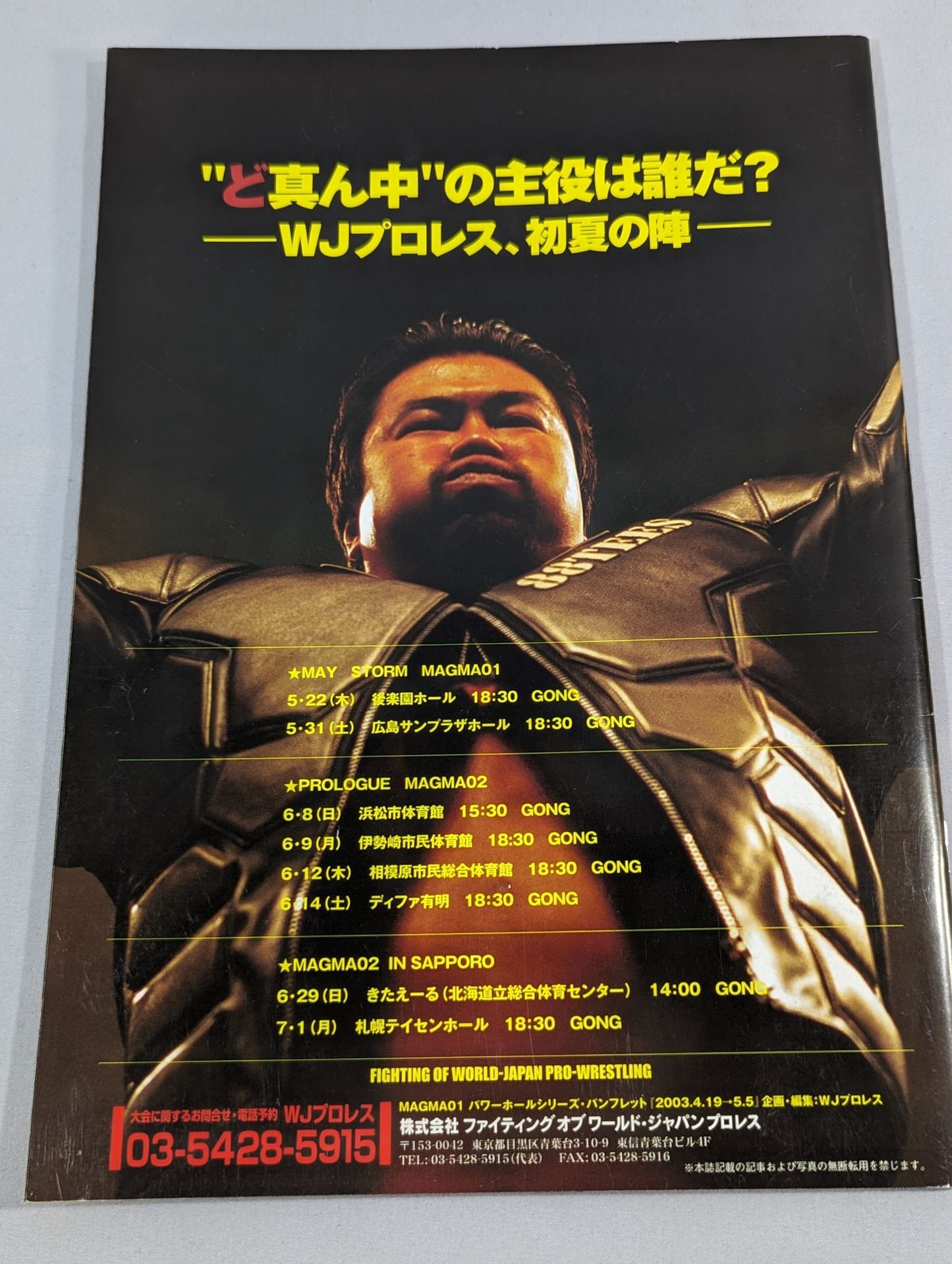 WJ Pro Wrestling / MAGMA01 Power Hall Series