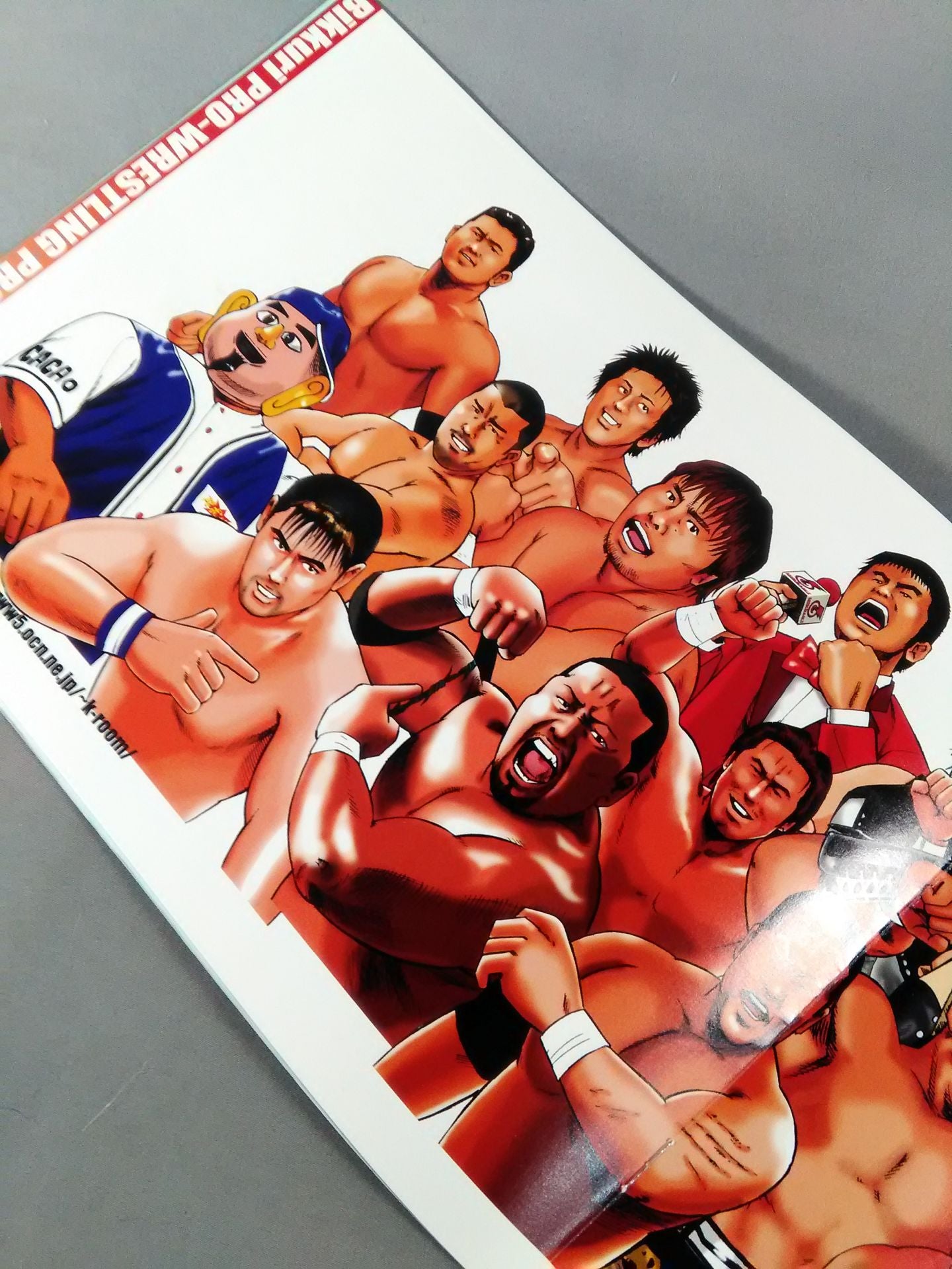 Surprise Pro Wrestling Promotion "You guys know when you see it!!"