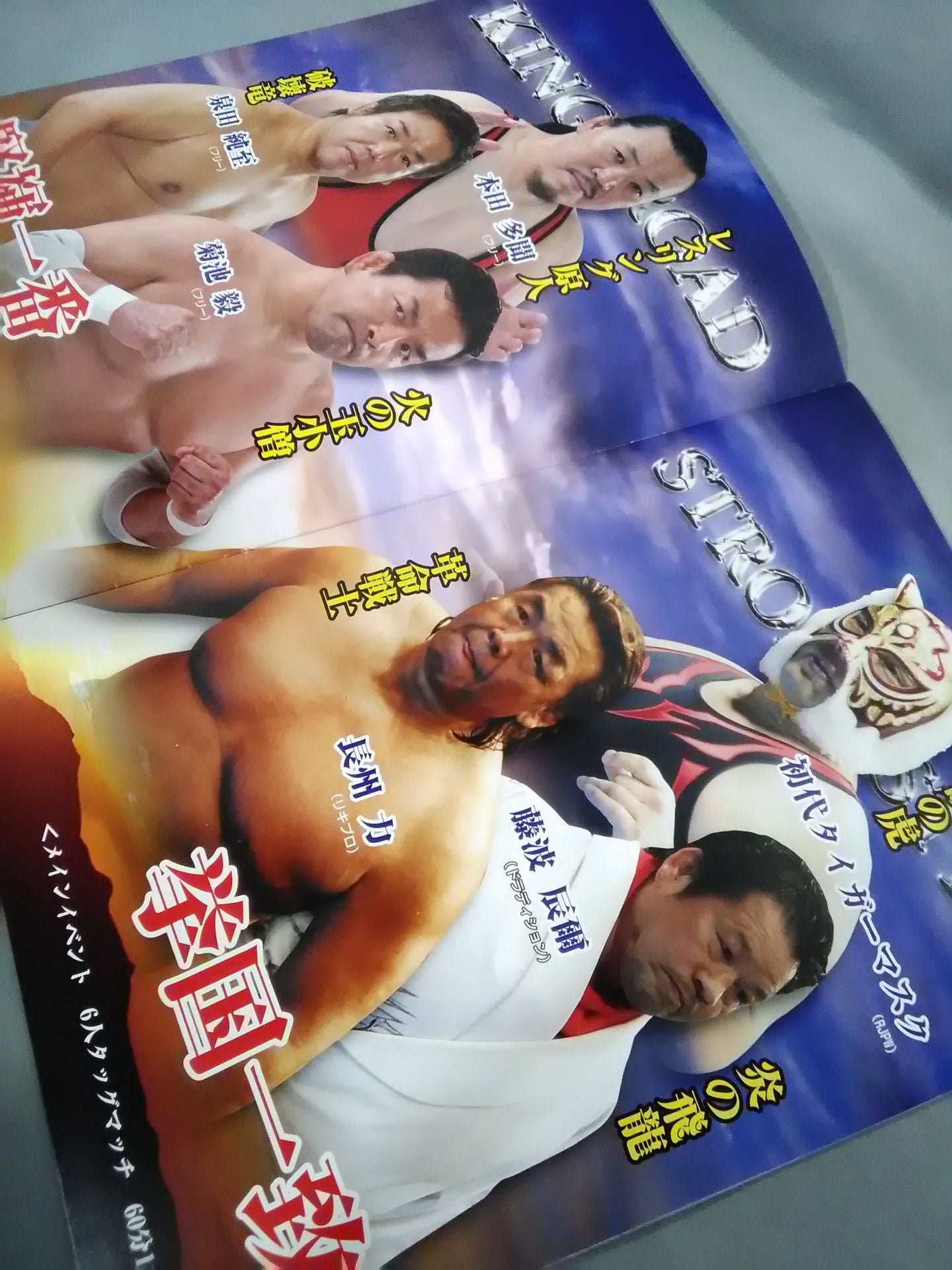 リアルジャパンプロレス Vol.14 / SPACE FLYING TIGER DROP